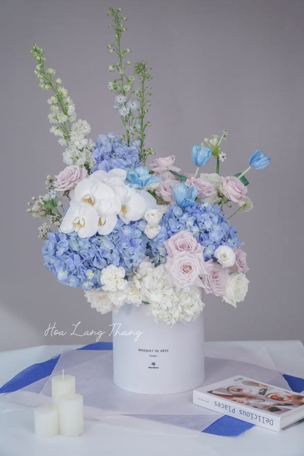 Celeste Rêve - Thumbnail 3