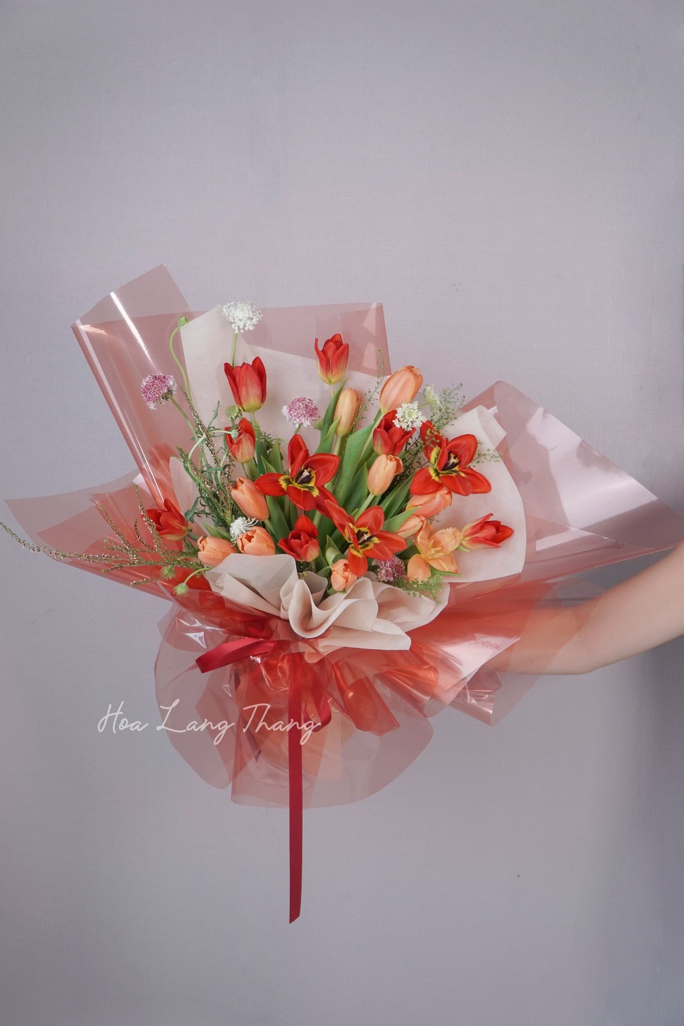 Solara Tulip - Thumbnail 3