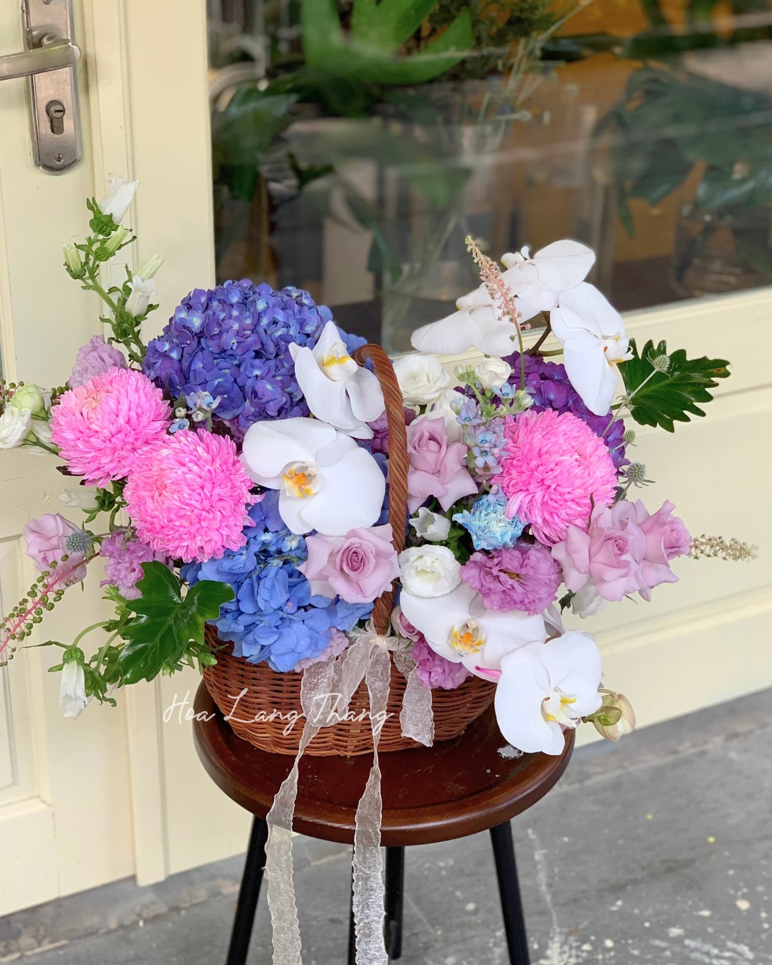 Harmonie Basket — góc khác