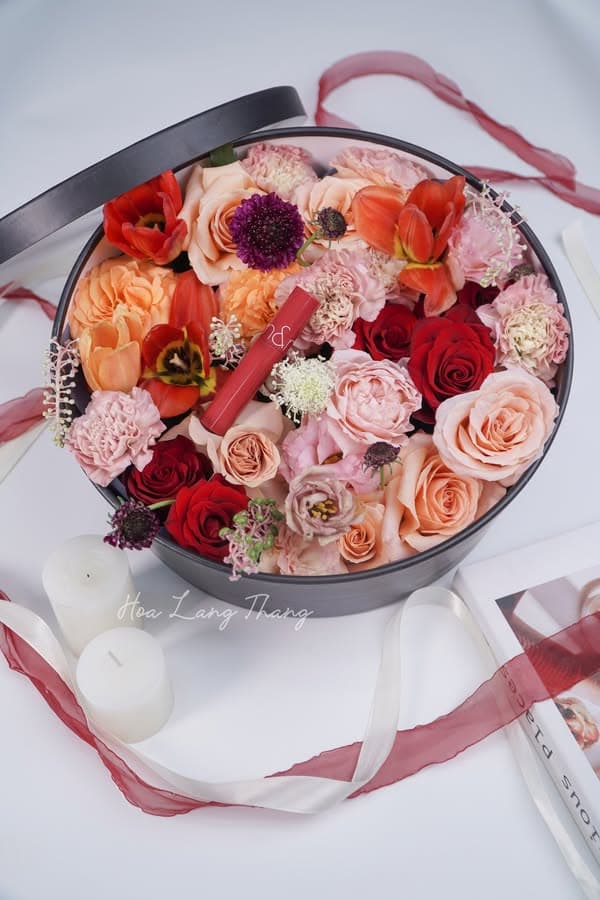 Velvet Rouge Box — góc khác