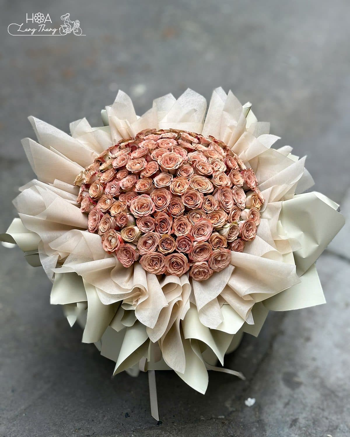 Hồng capu 99 bông