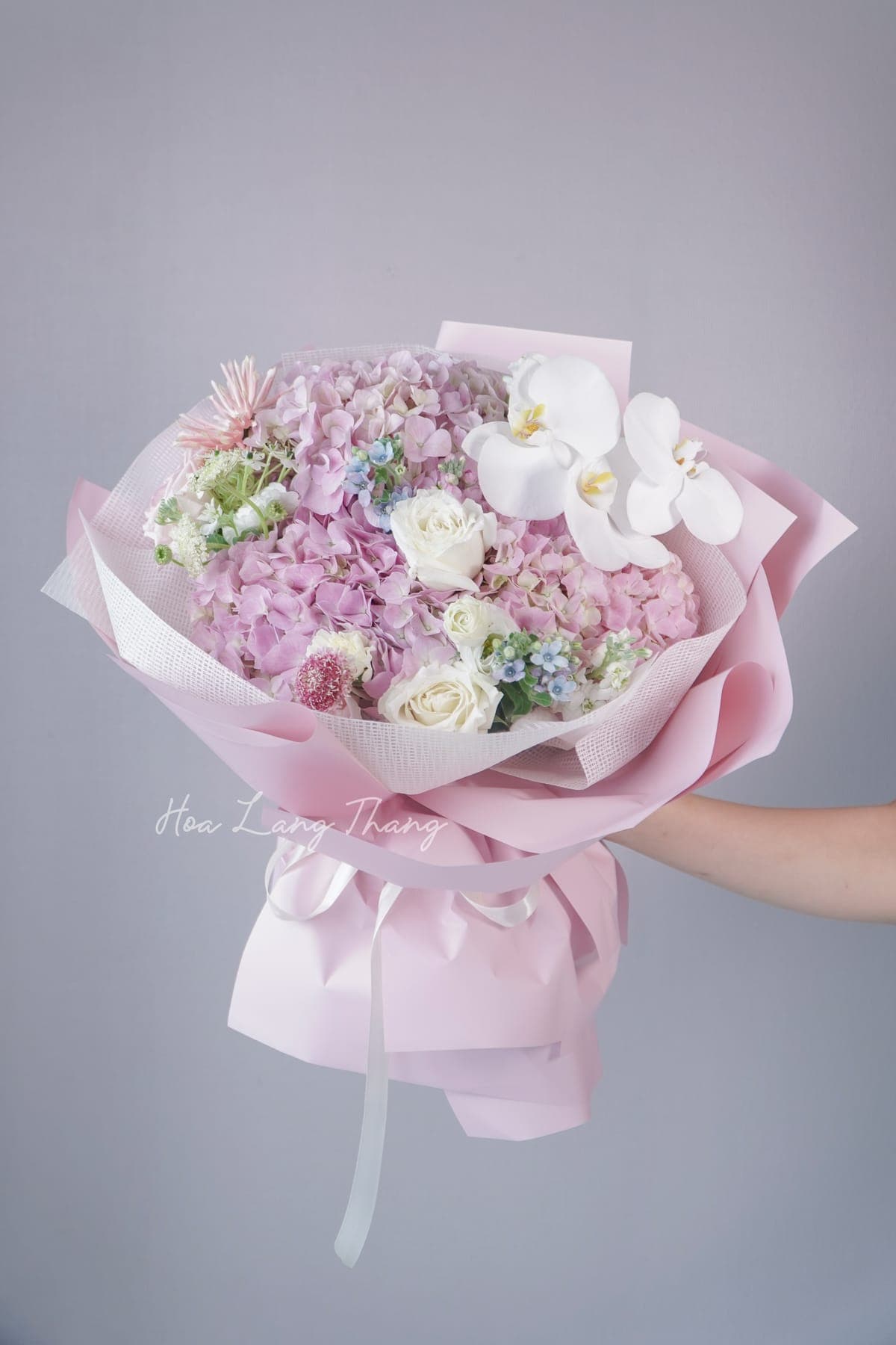 Celestine Tulip — góc khác