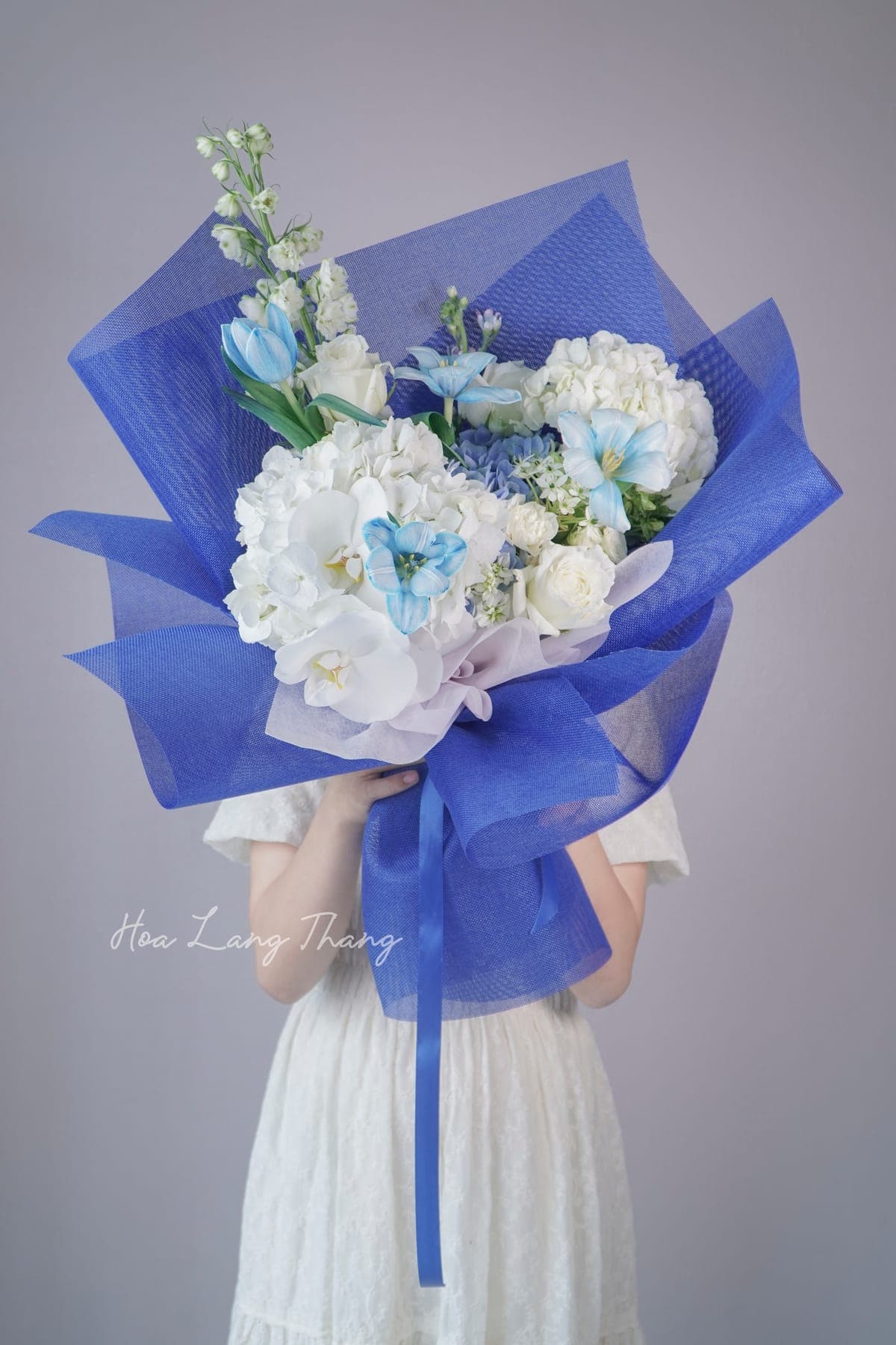 Claret Bloom — góc khác