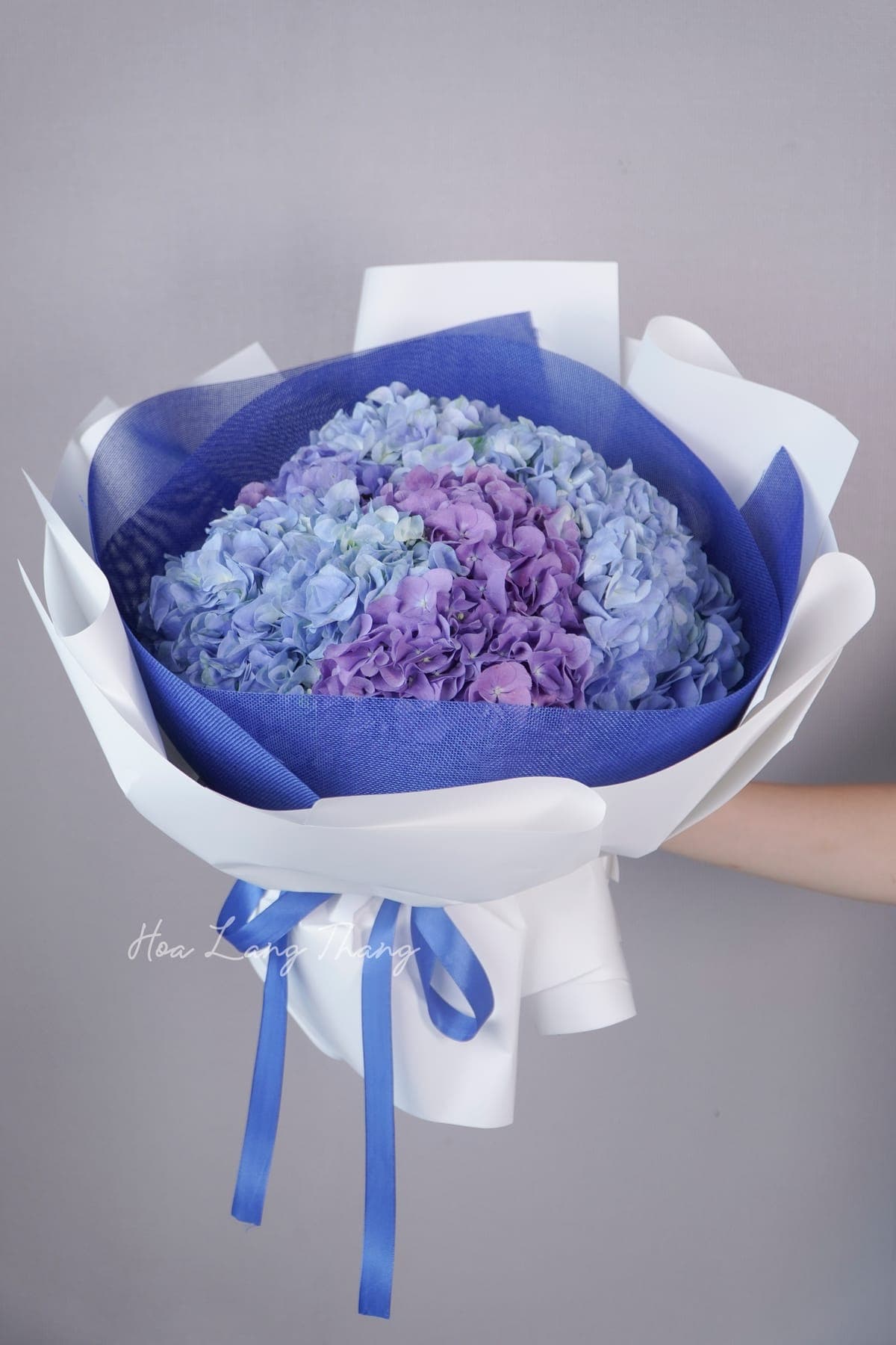Douceur Blush — góc khác