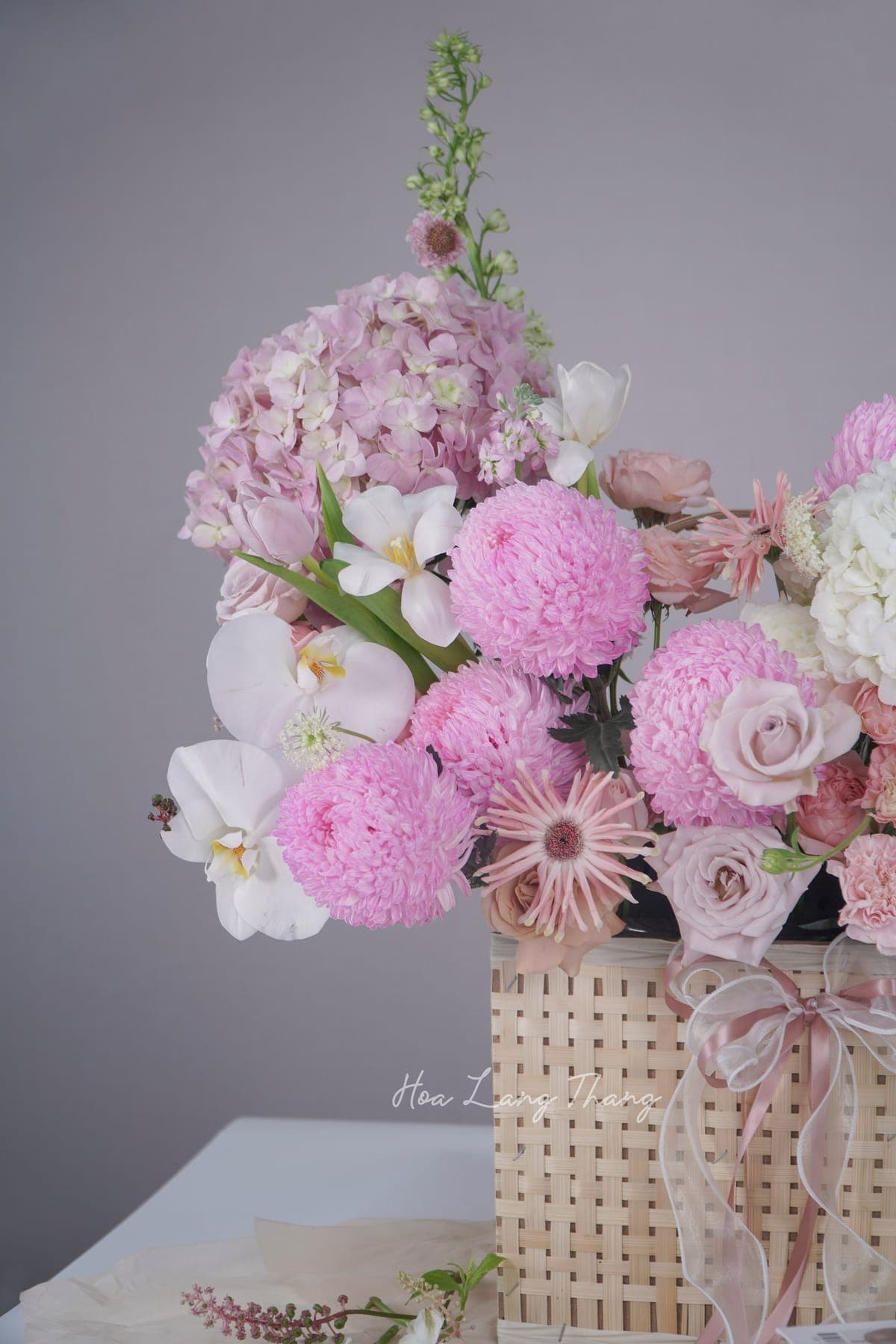 Harmonie Basket — góc khác