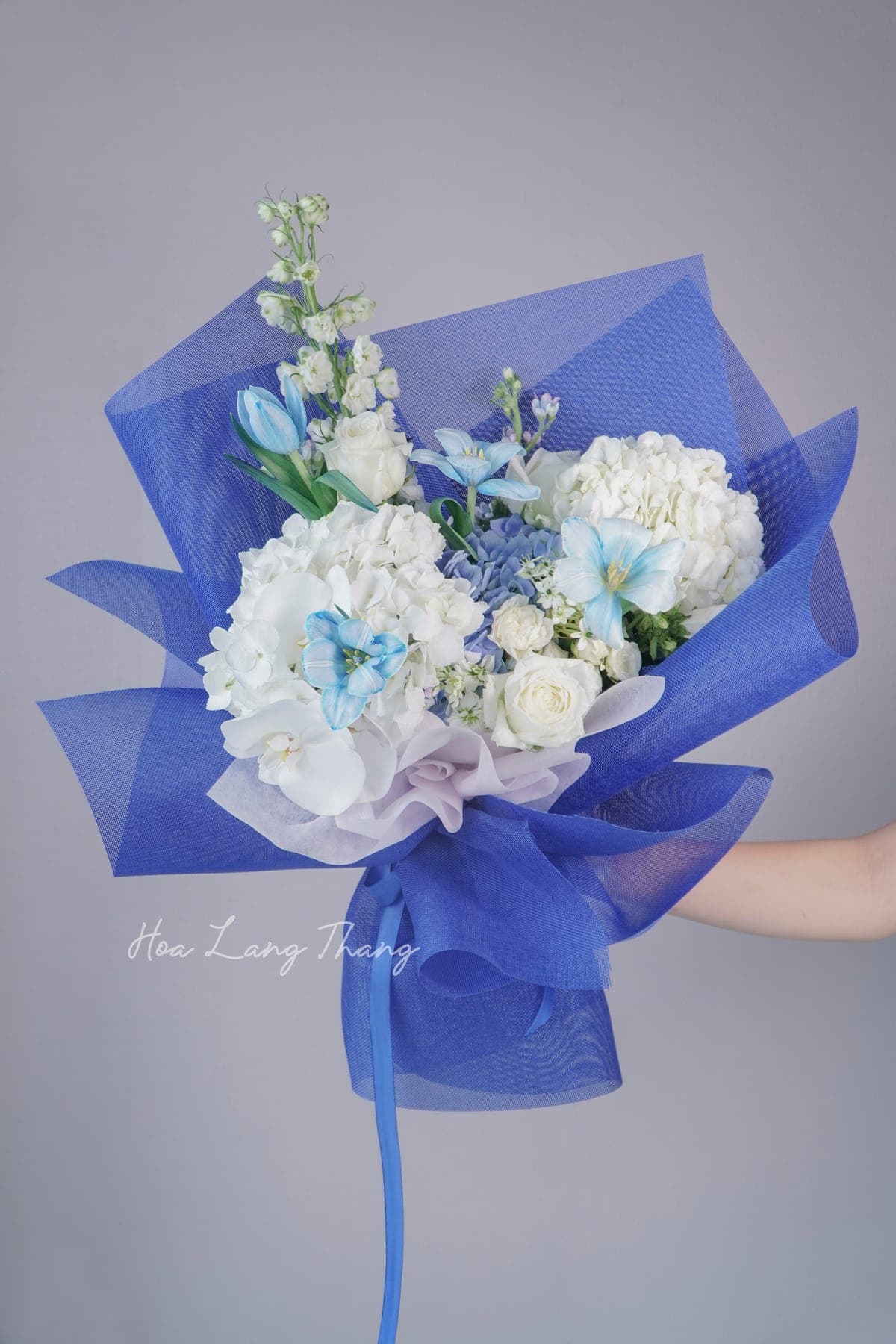 Lumière Bleue — góc khác