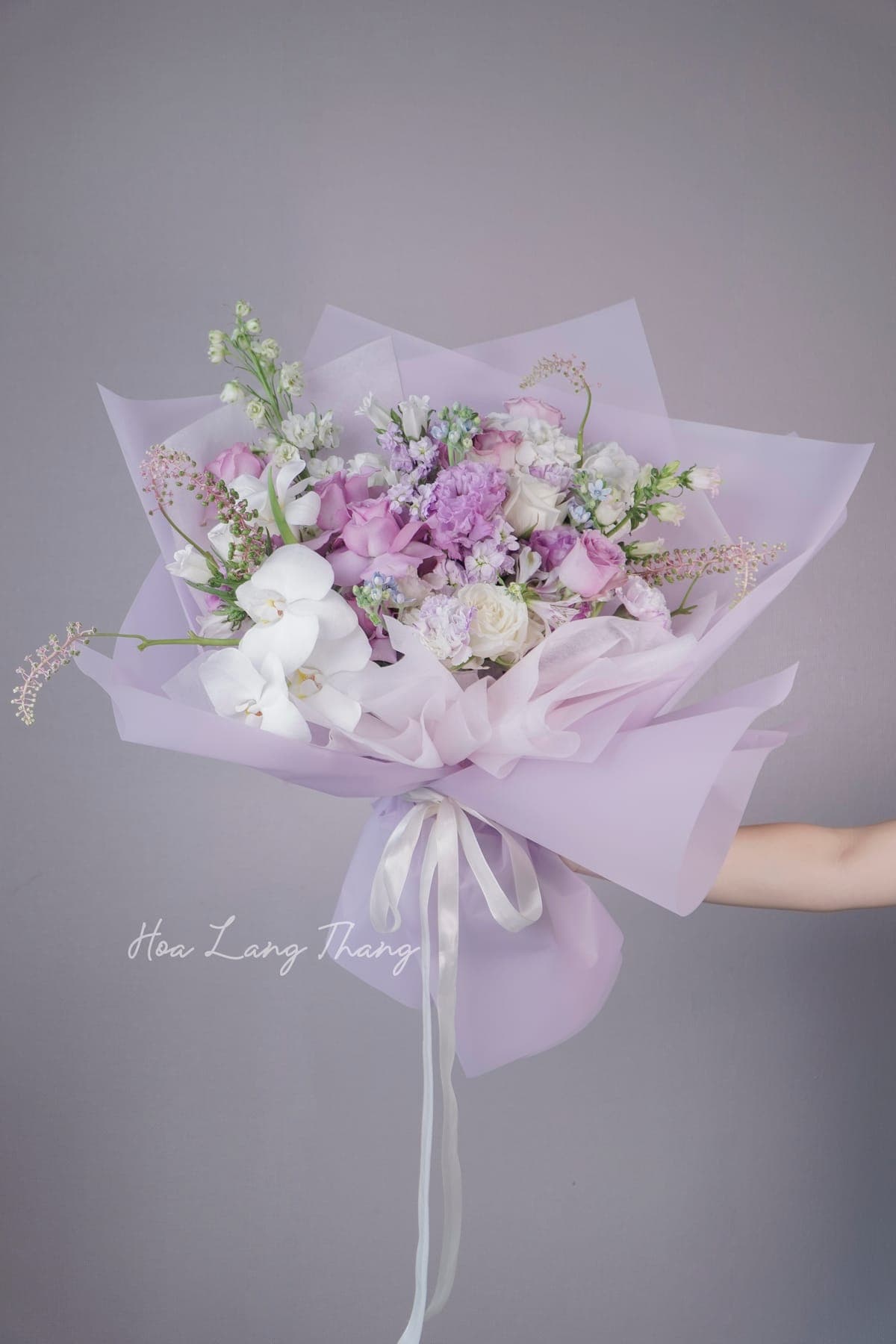 Lumière Blush — góc khác