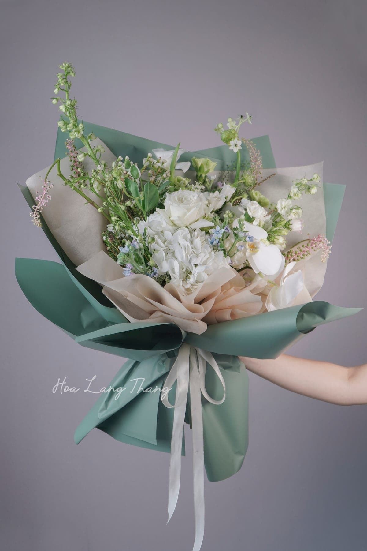 Lumière Tulip — góc khác