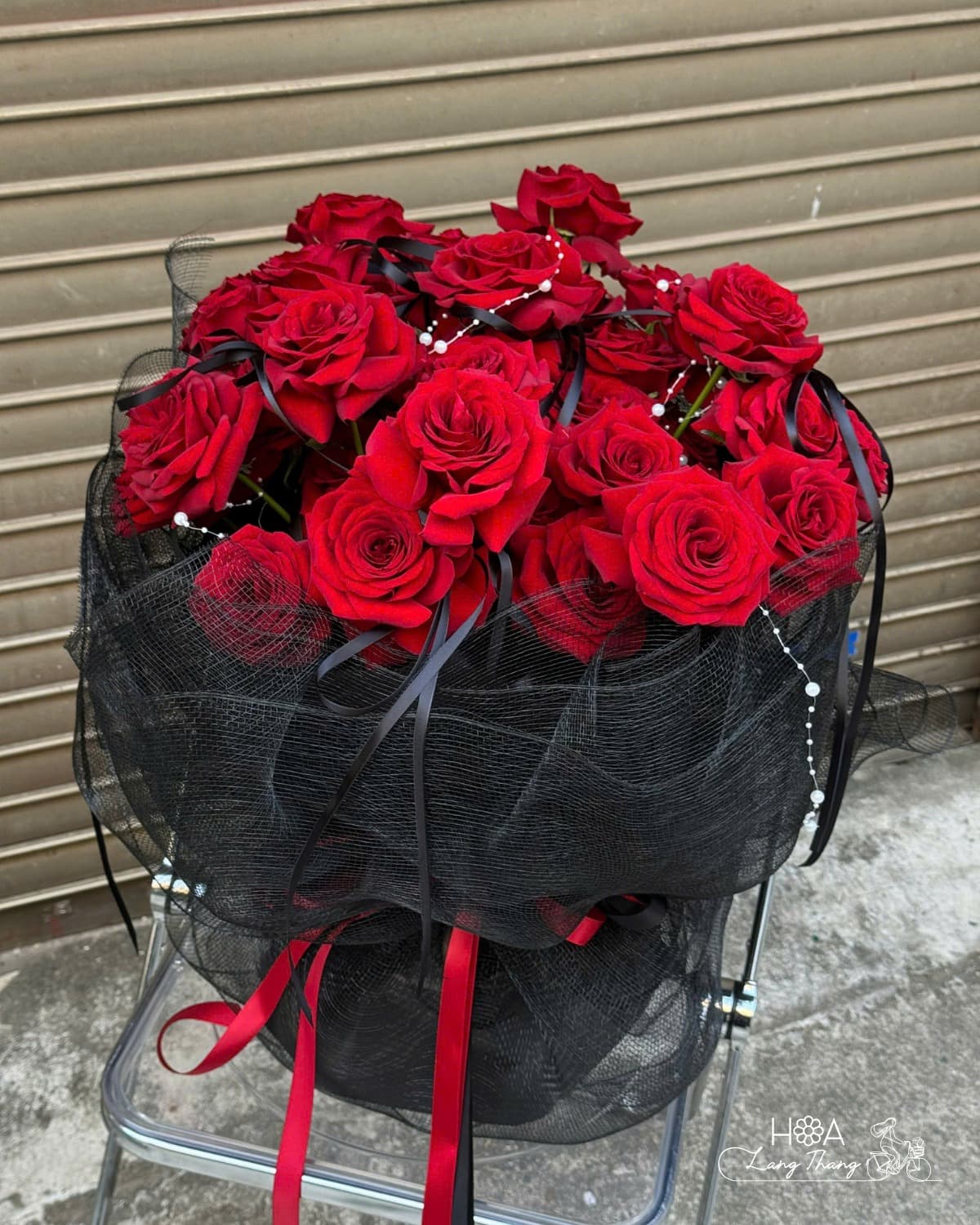 Crimson Noir - Ảnh 1