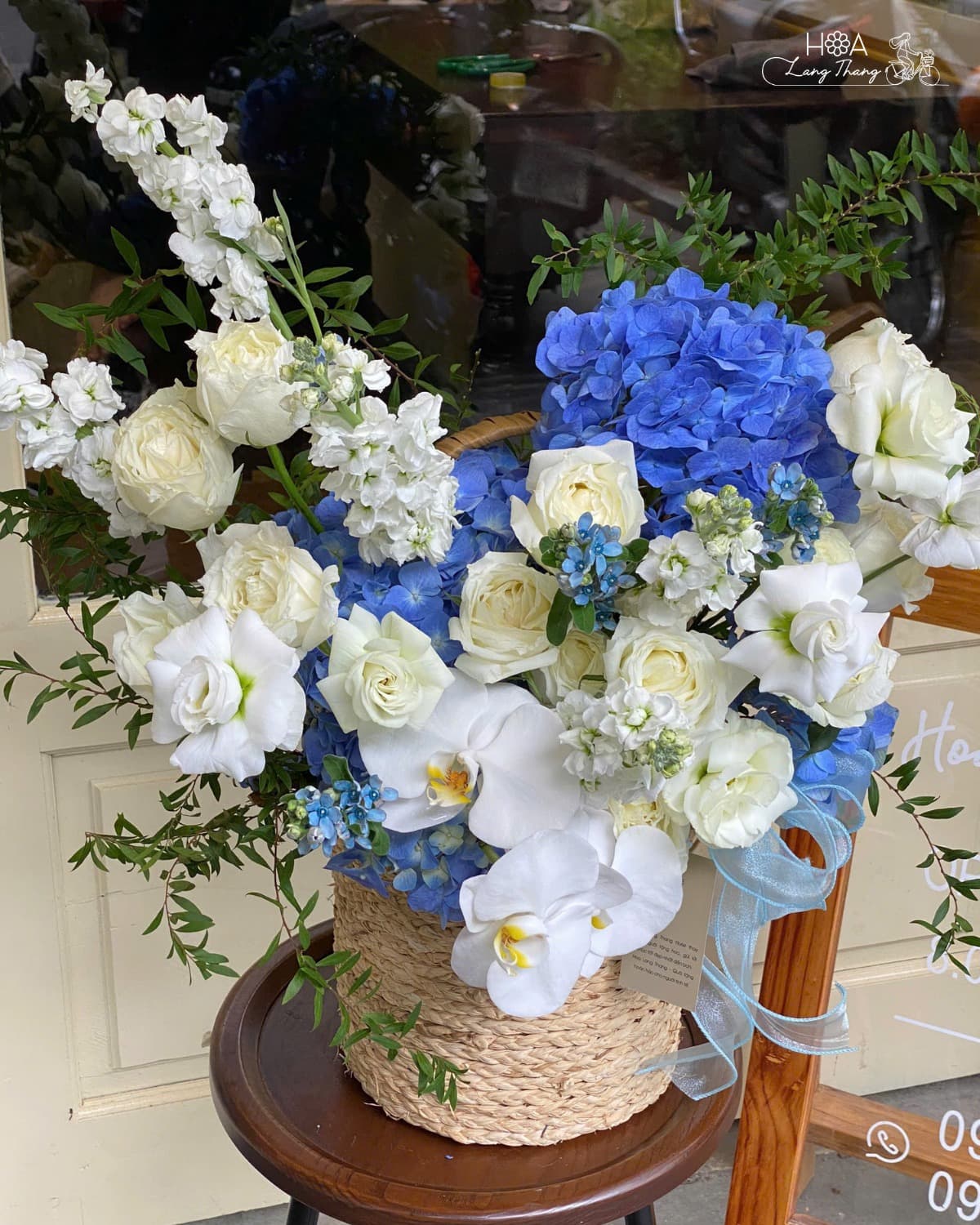 Celeste Basket - Ảnh 1