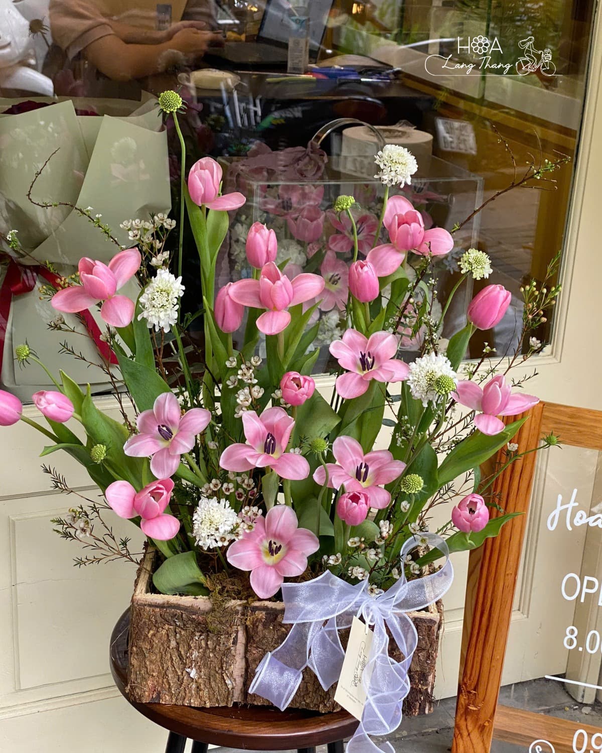 Celestine Tulip - Ảnh 1