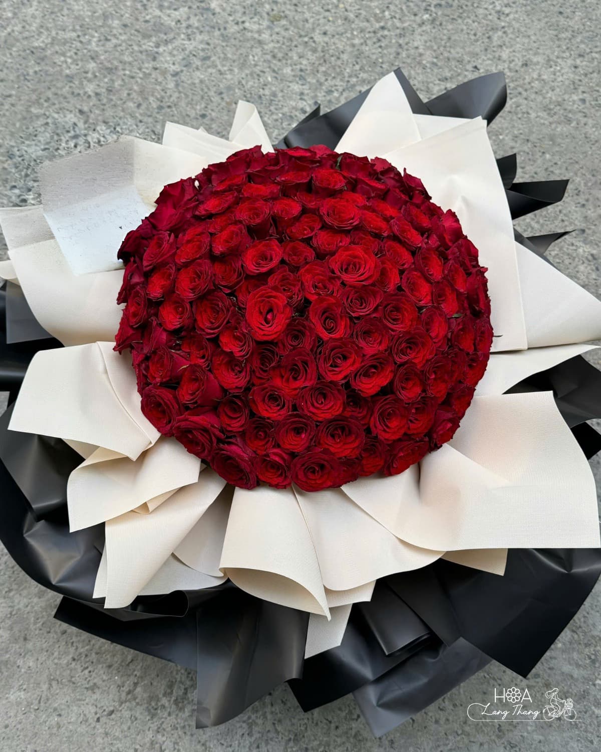 Hoa Hồng Ecuador Explorer Màu Hồng Đậm – Vẻ Đẹp Quyến Rũ Từ Xứ Sở Hoa Hồng