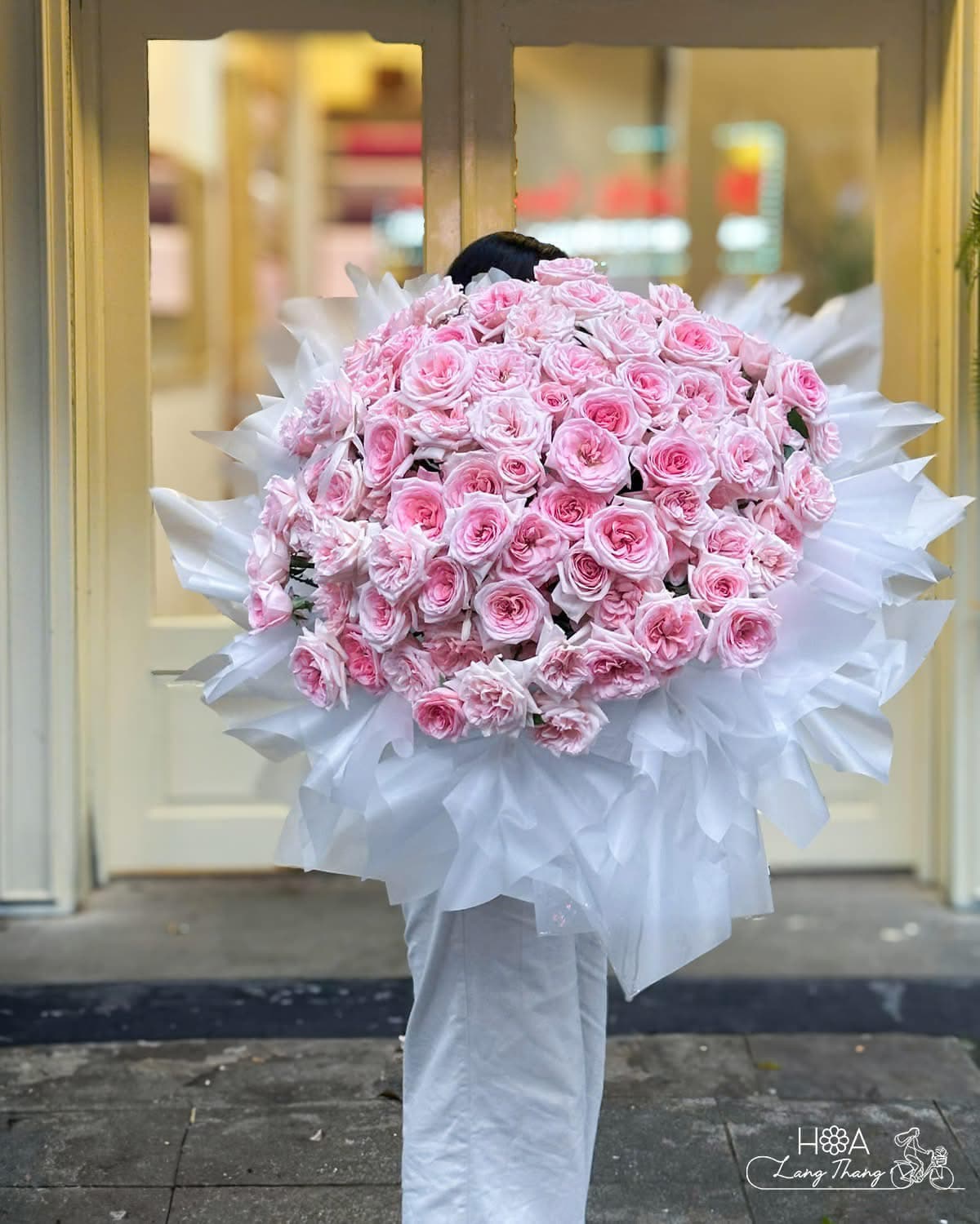 Seraphina Rose - Ảnh 1