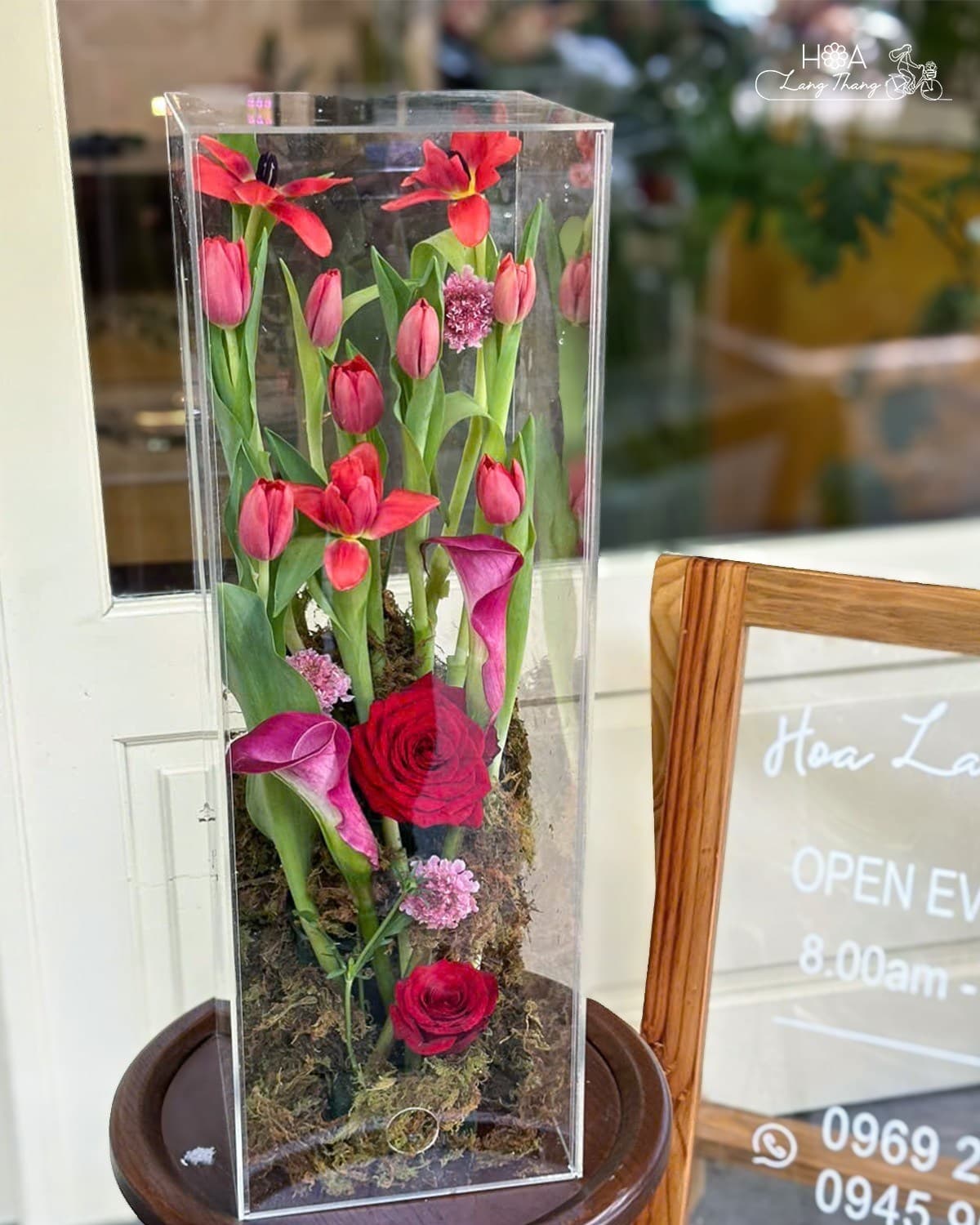 Hoa Anemone Màu Đỏ Nhập Khẩu Độc Lạ – Vẻ Đẹp Kiêu Kỳ Từ Châu Âu