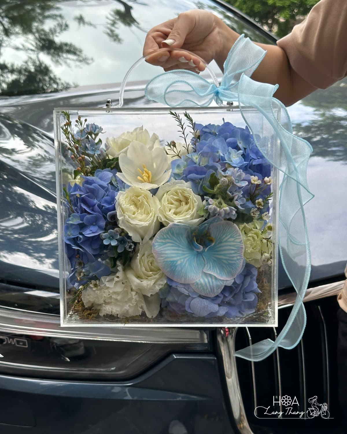 Cách Giữ Hoa Cẩm Tú Cầu Tươi Lâu — Bí Quyết Từ Florist Hà Nội