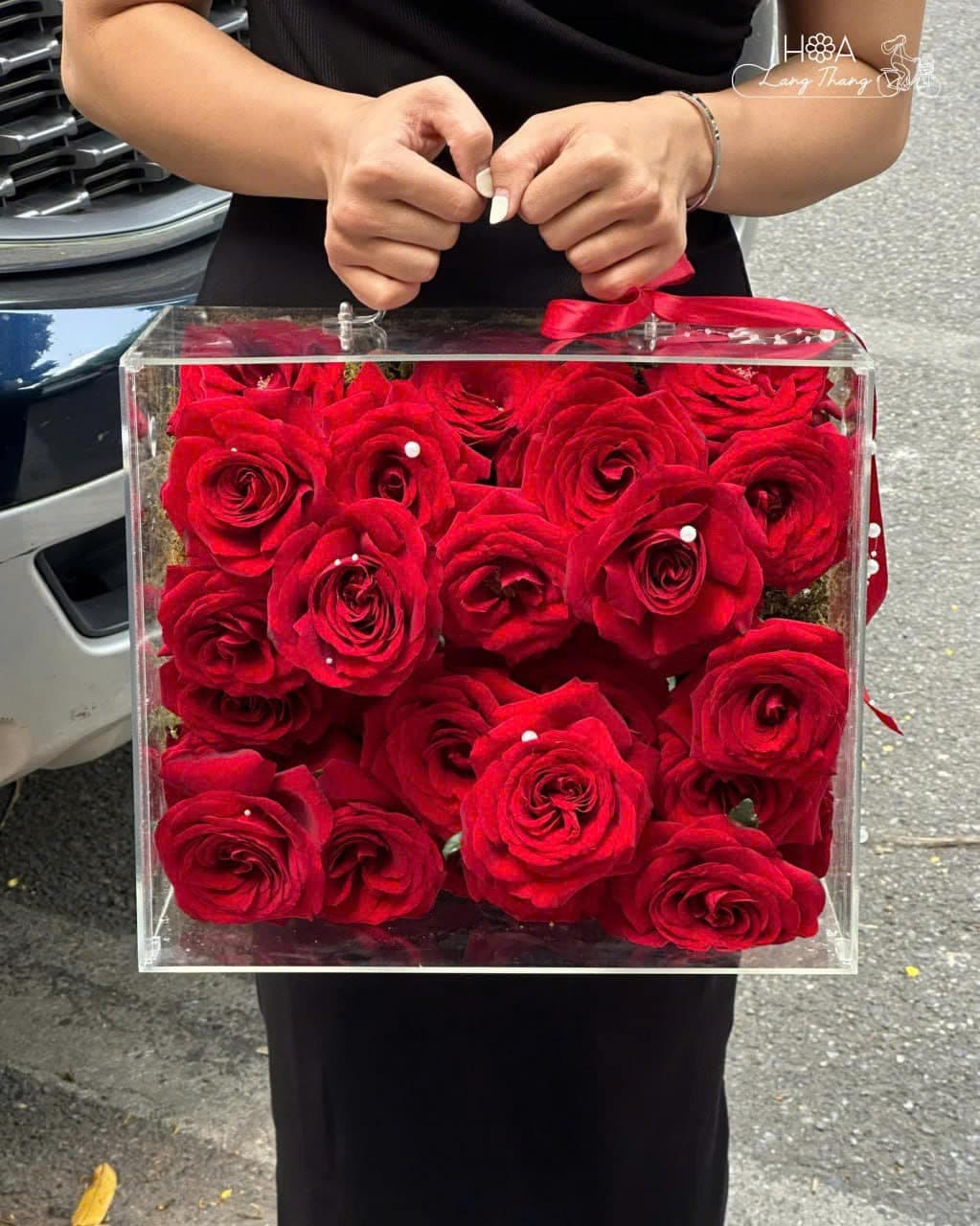 Rouge Luxe - Ảnh 1