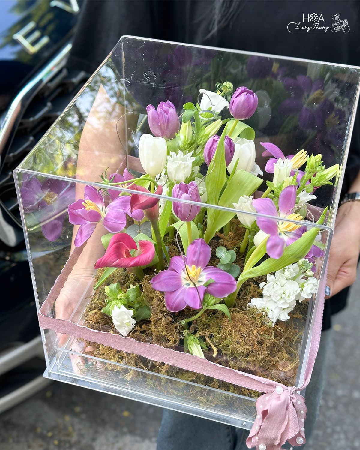 Amethyst Garden - Ảnh 1