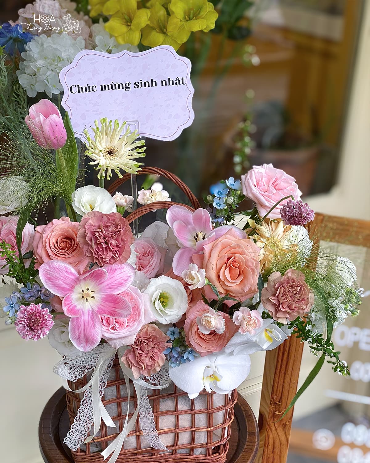 Serenata Basket - Ảnh 1