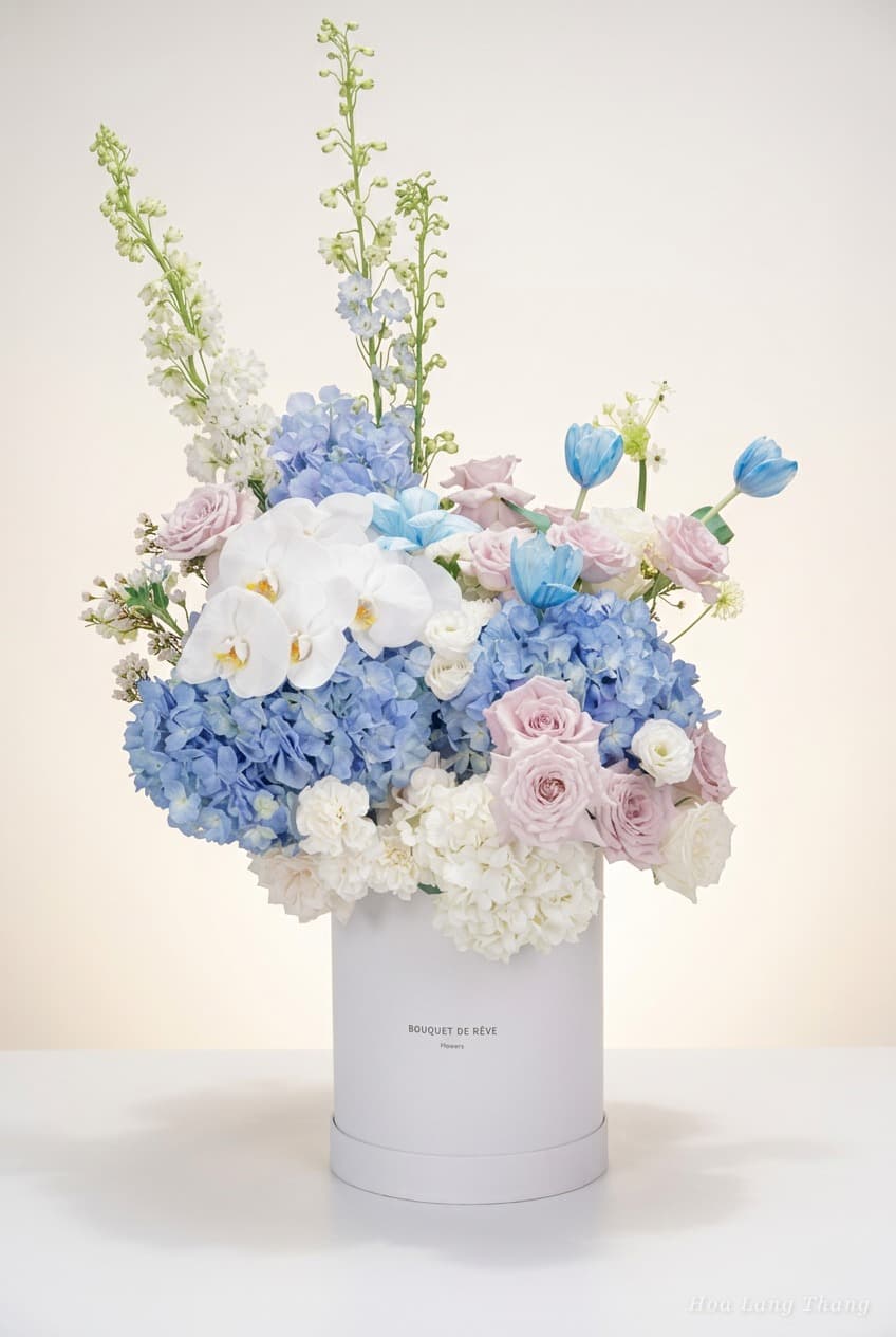 Celeste Rêve - Ảnh 1