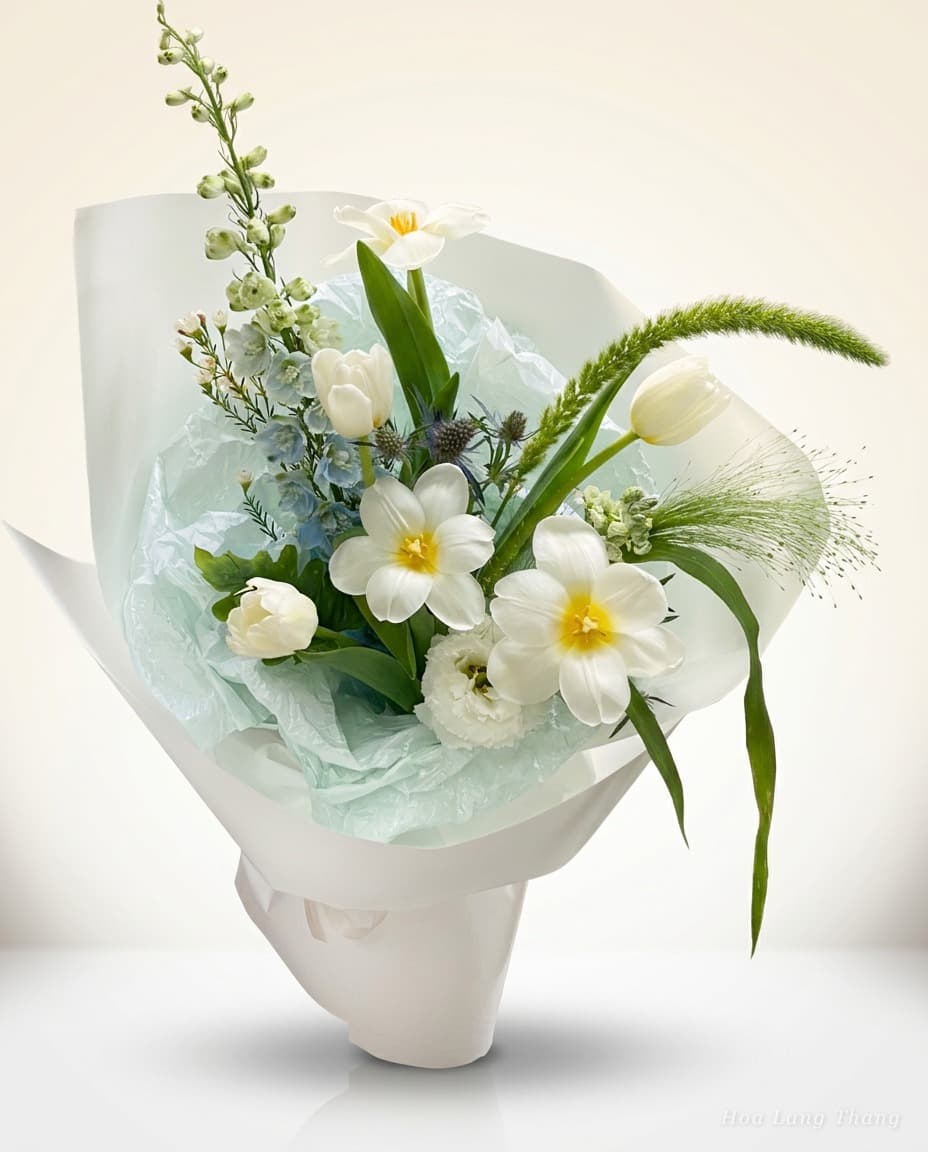 Lumière Blanche - Ảnh 1