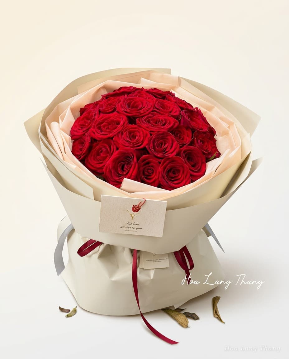 Rubino Rose - Ảnh 1