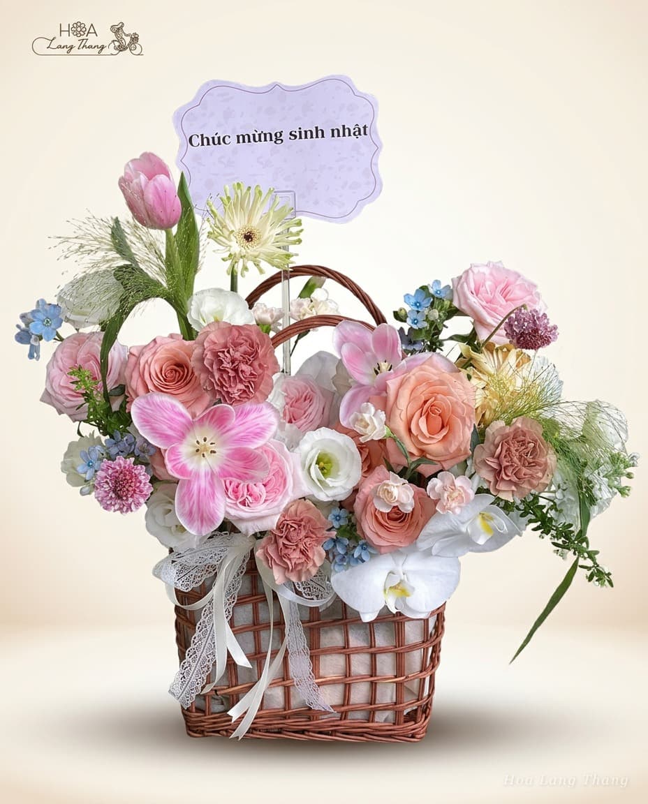 Seraphina Basket - Ảnh 1