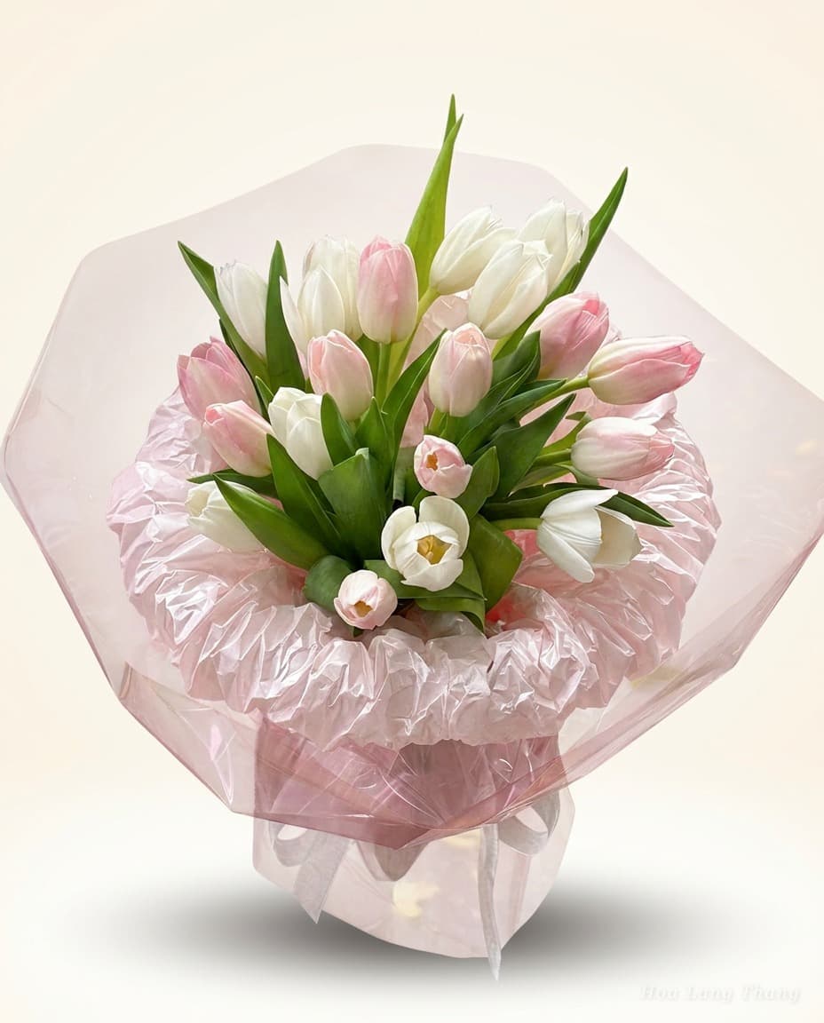 Douceur Tulip - Ảnh 1