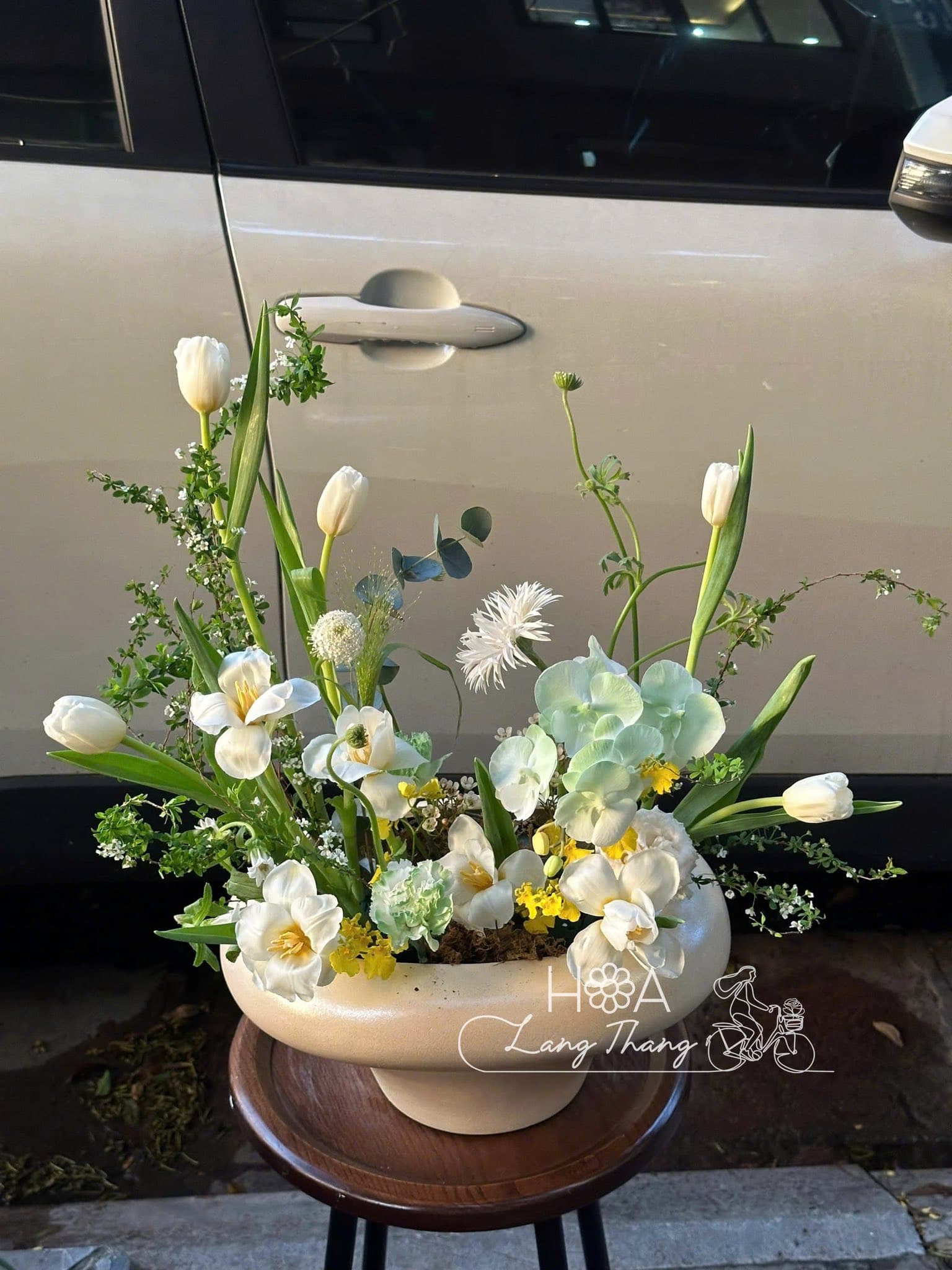 Alba Serene - Ảnh 1