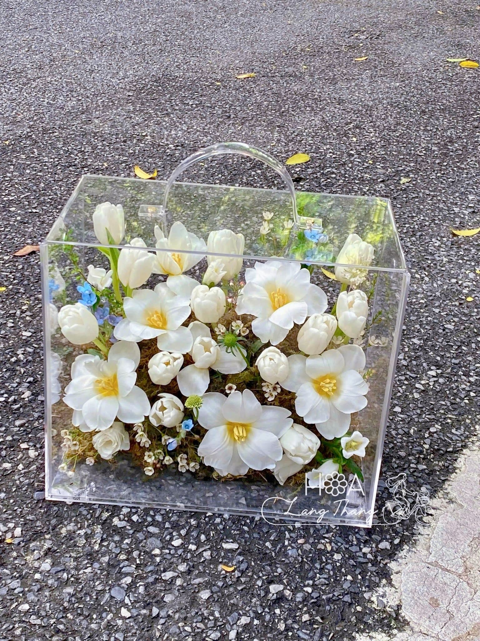 Hoa Cẩm Tú Cầu Hồng Phối Bó Đẹp – Nghệ Thuật Phối Màu Từ Loài Hoa Mang Hình Cầu Hoàn Hảo