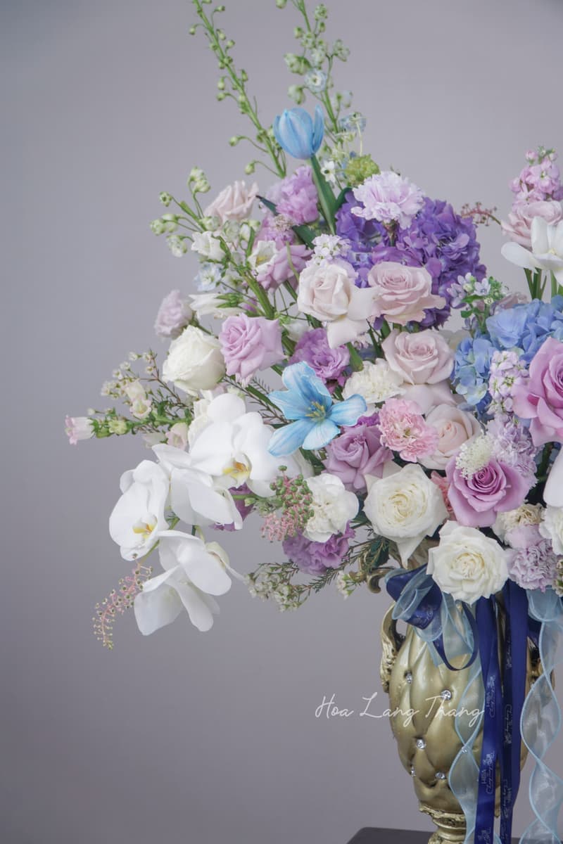 Hoa Dahlia Nhập Khẩu Đẹp Hà Nội — Vẻ Đẹp Kiêu Sa Từ Những Cánh Hoa Xếp Lớp
