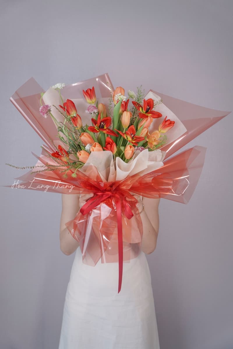 Lan Hồ Điệp Đỏ Tặng Tết — Ý Nghĩa & Cách Chọn Chậu Đẹp Nhất
