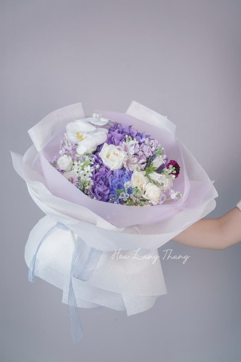 Shop Hoa Tulip Nhập Khẩu Cao Cấp Hà Nội – Hoa Lang Thang