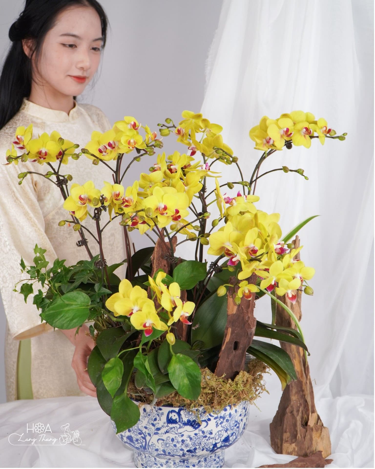Khám Phá Hoa Màu Vàng Tại Hoa Lang Thang