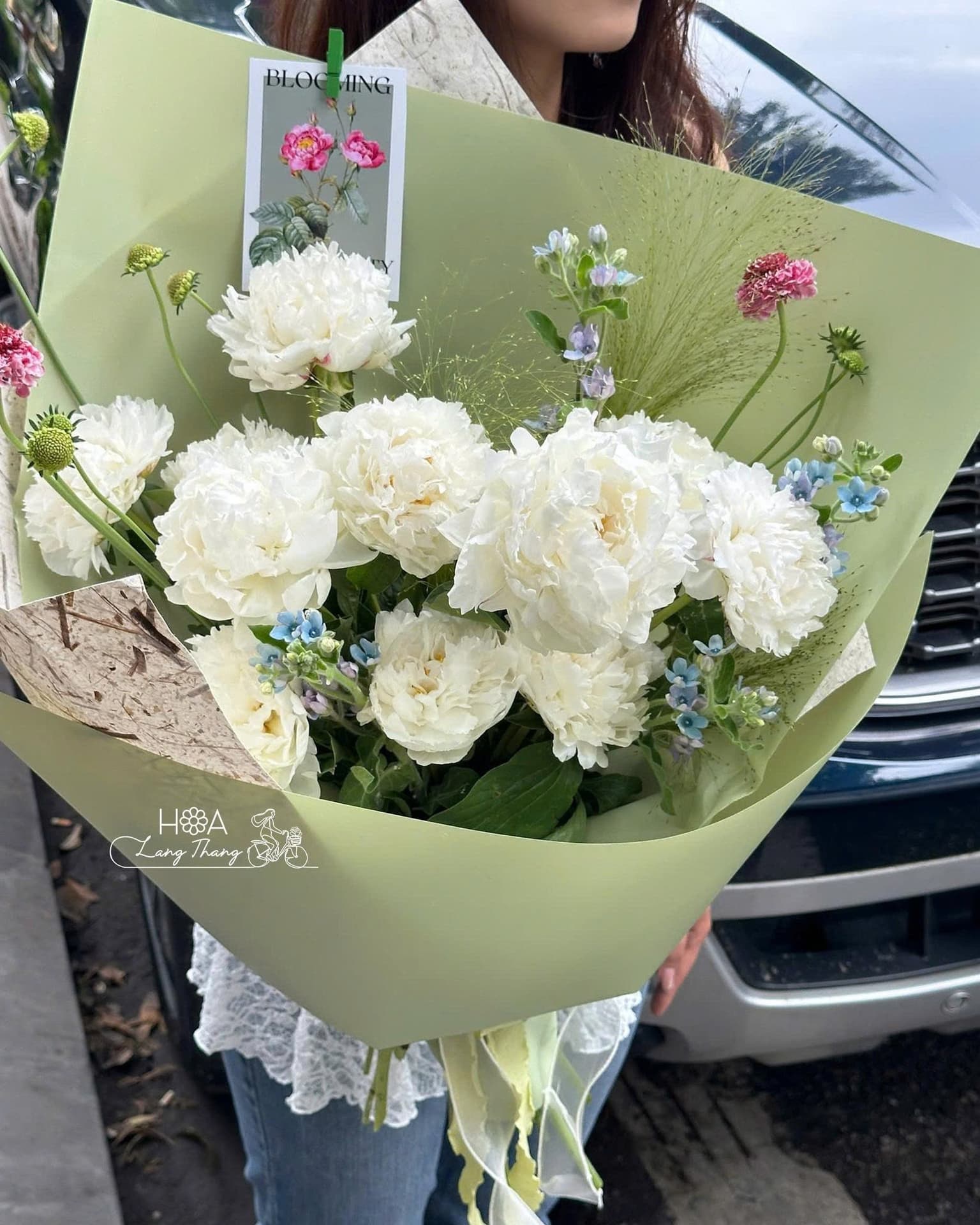 Hoa mẫu đơn peony nhập khẩu Hà Nội