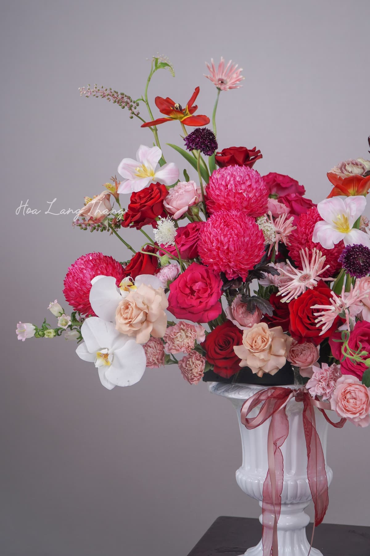 Alba Orchid - Ảnh 1