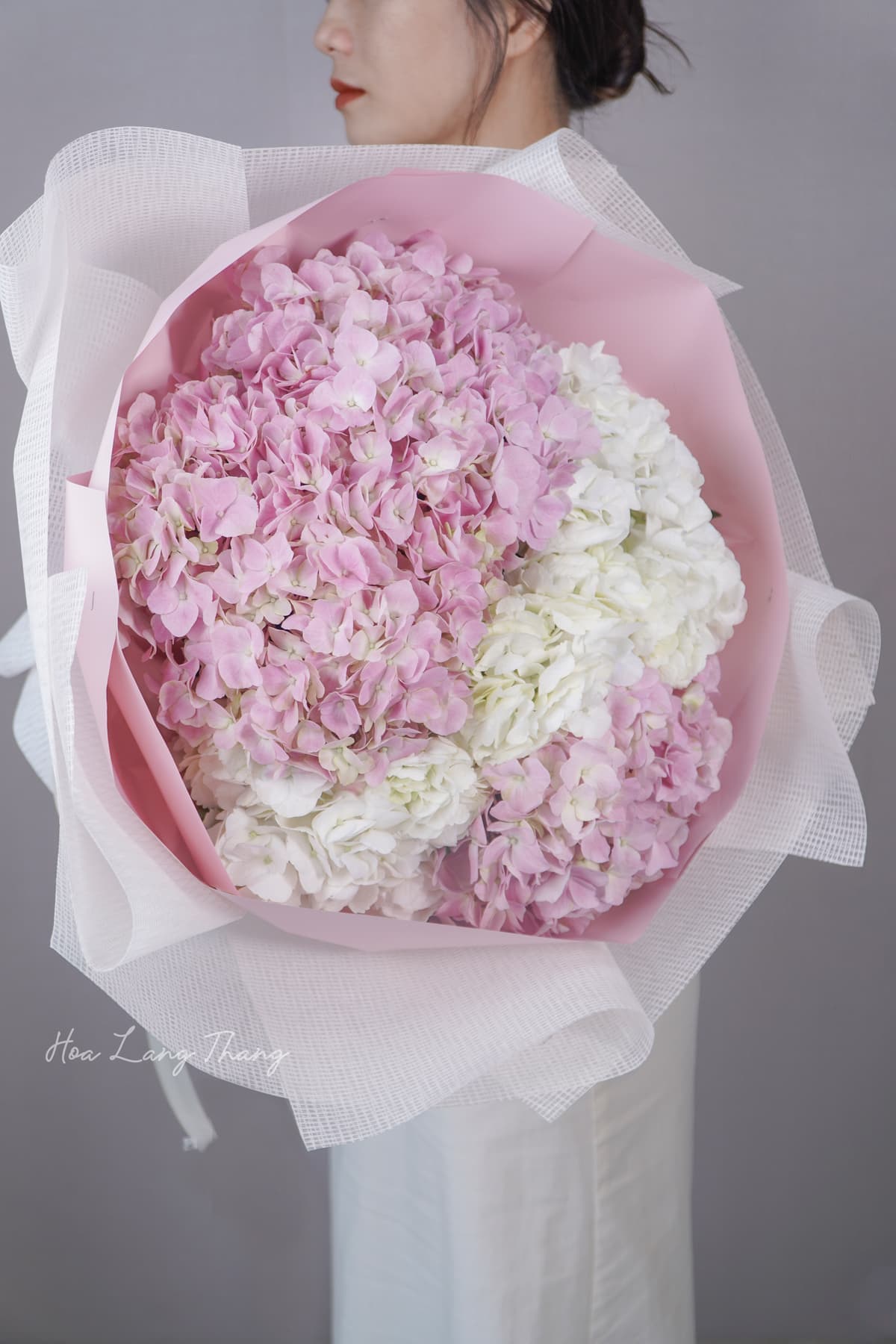 Amour Rose