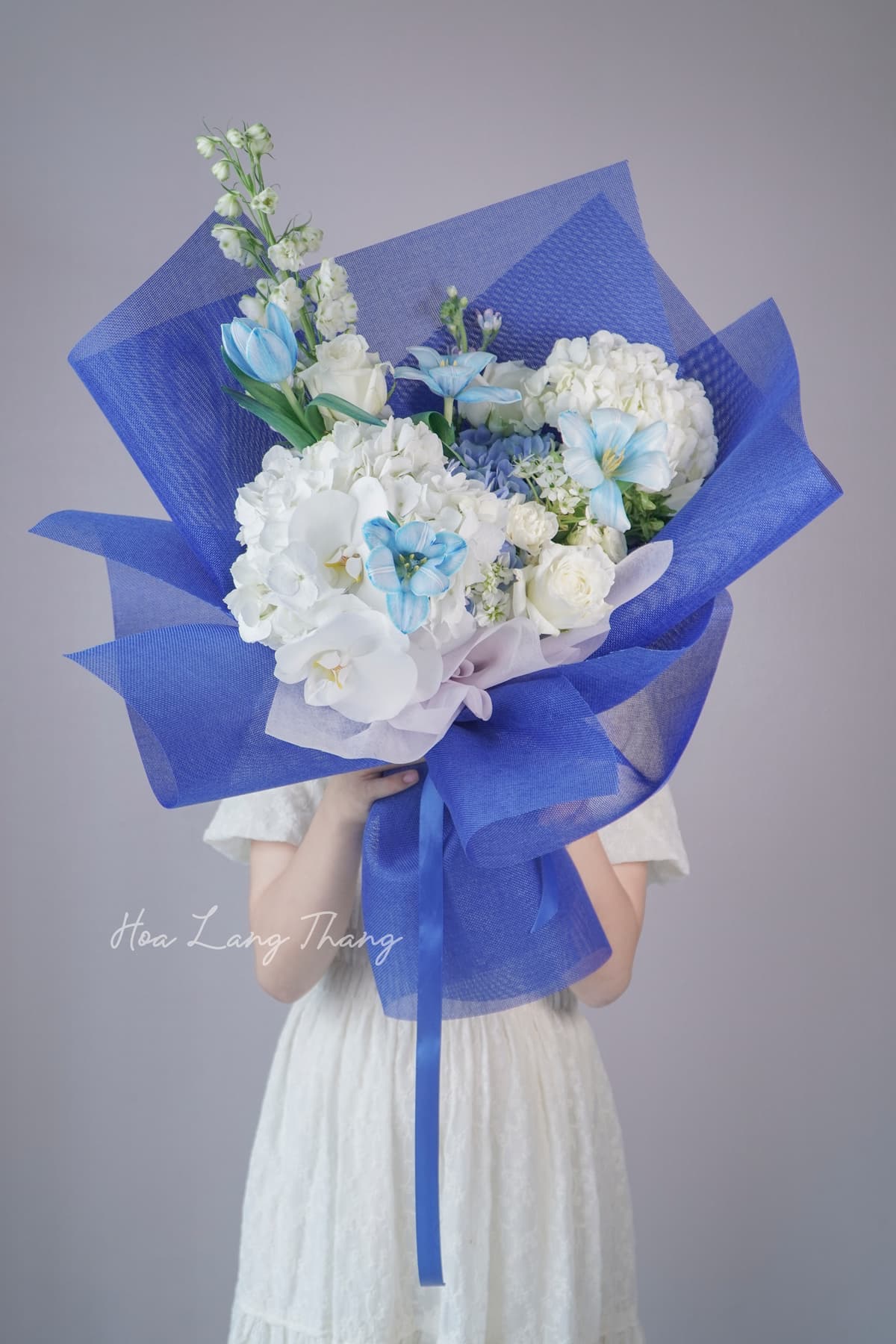 Clair Jardin - Ảnh 1