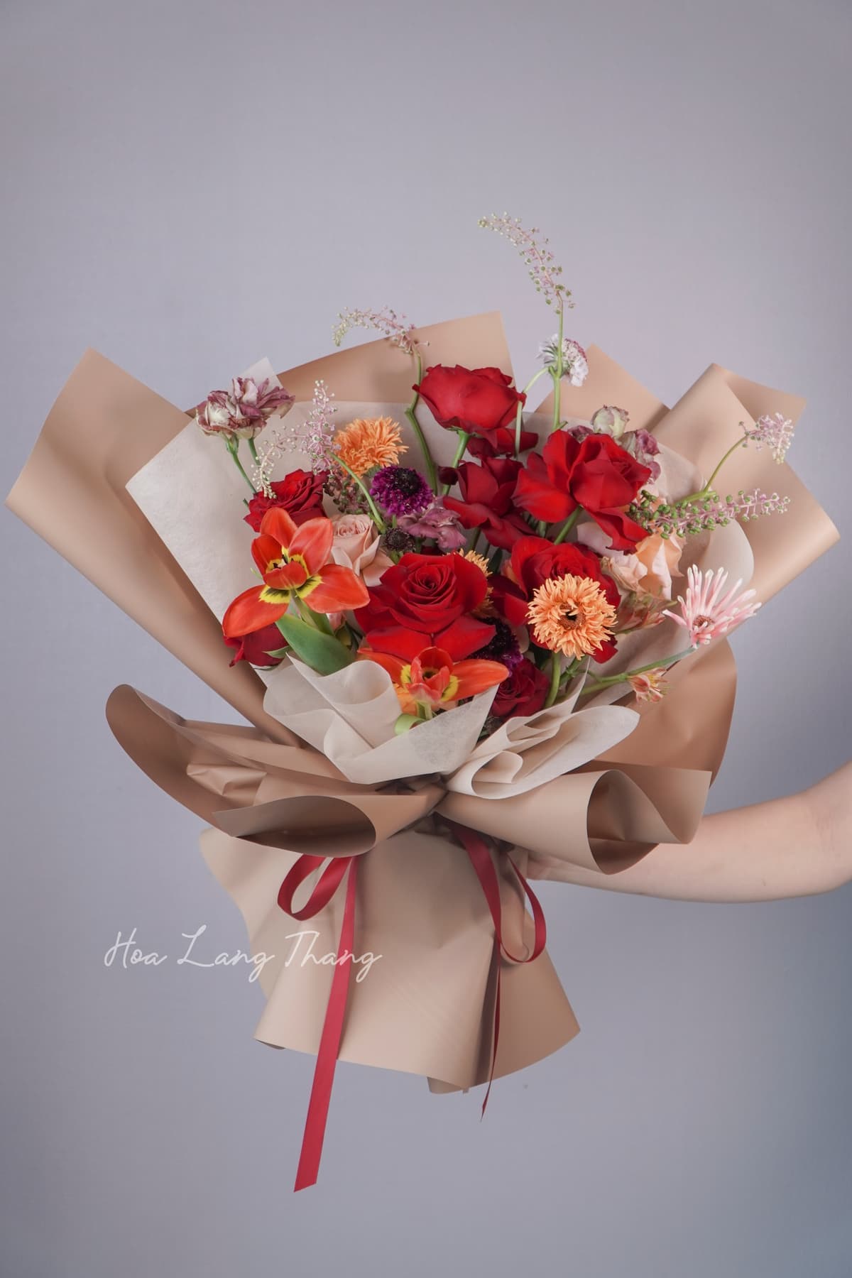 Claret Bloom - Ảnh 1