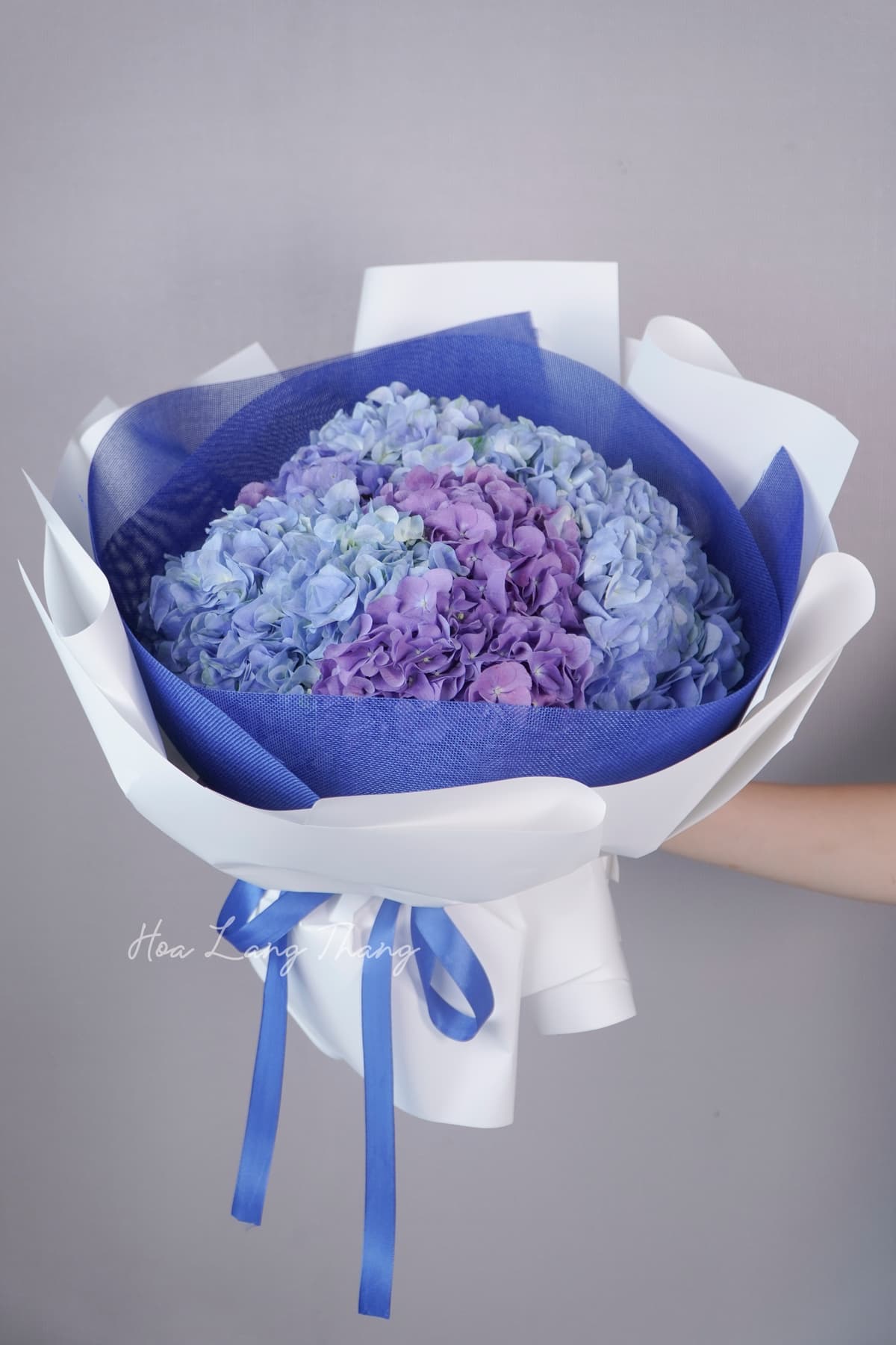 Douceur Bloom