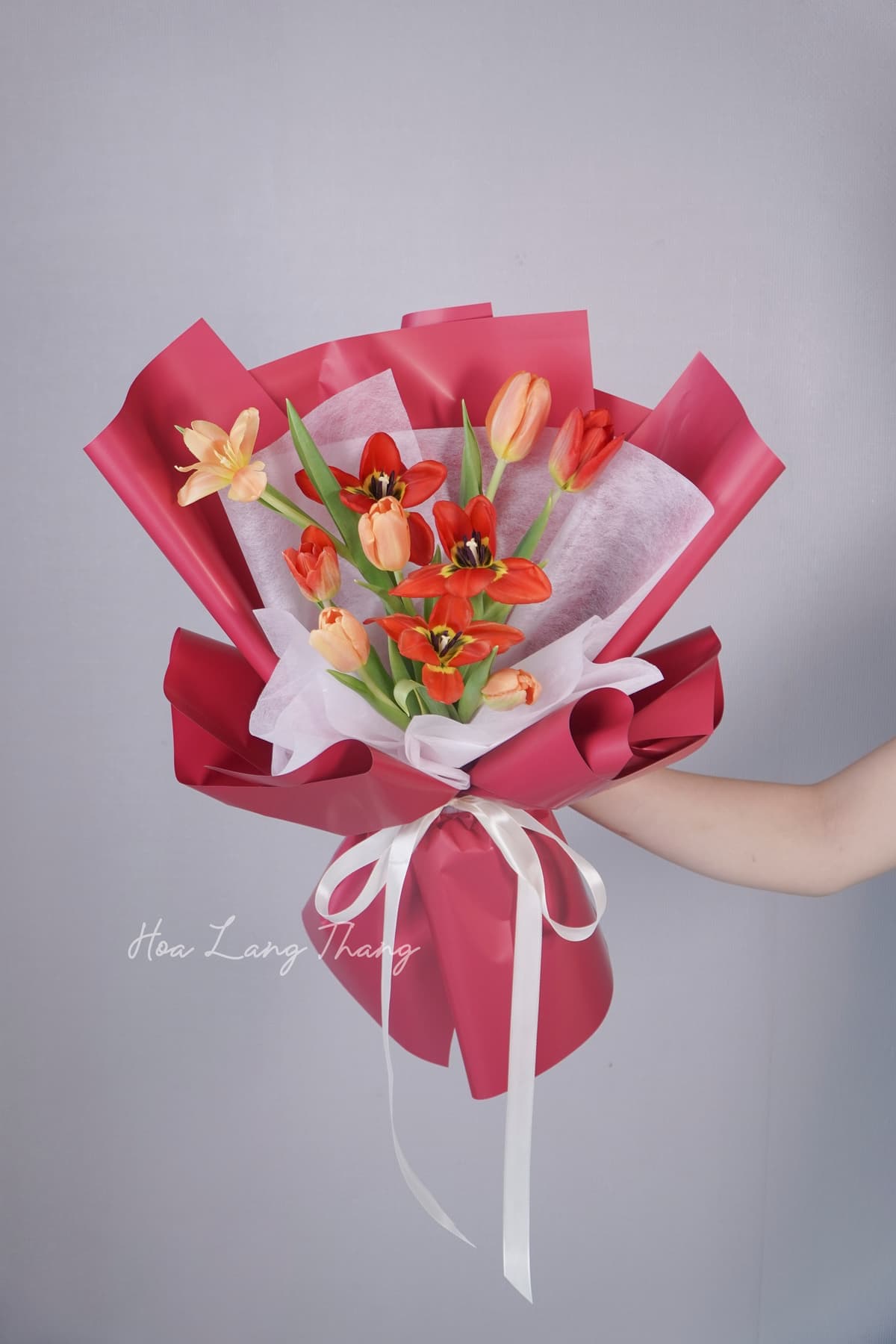 Douceur Tulip