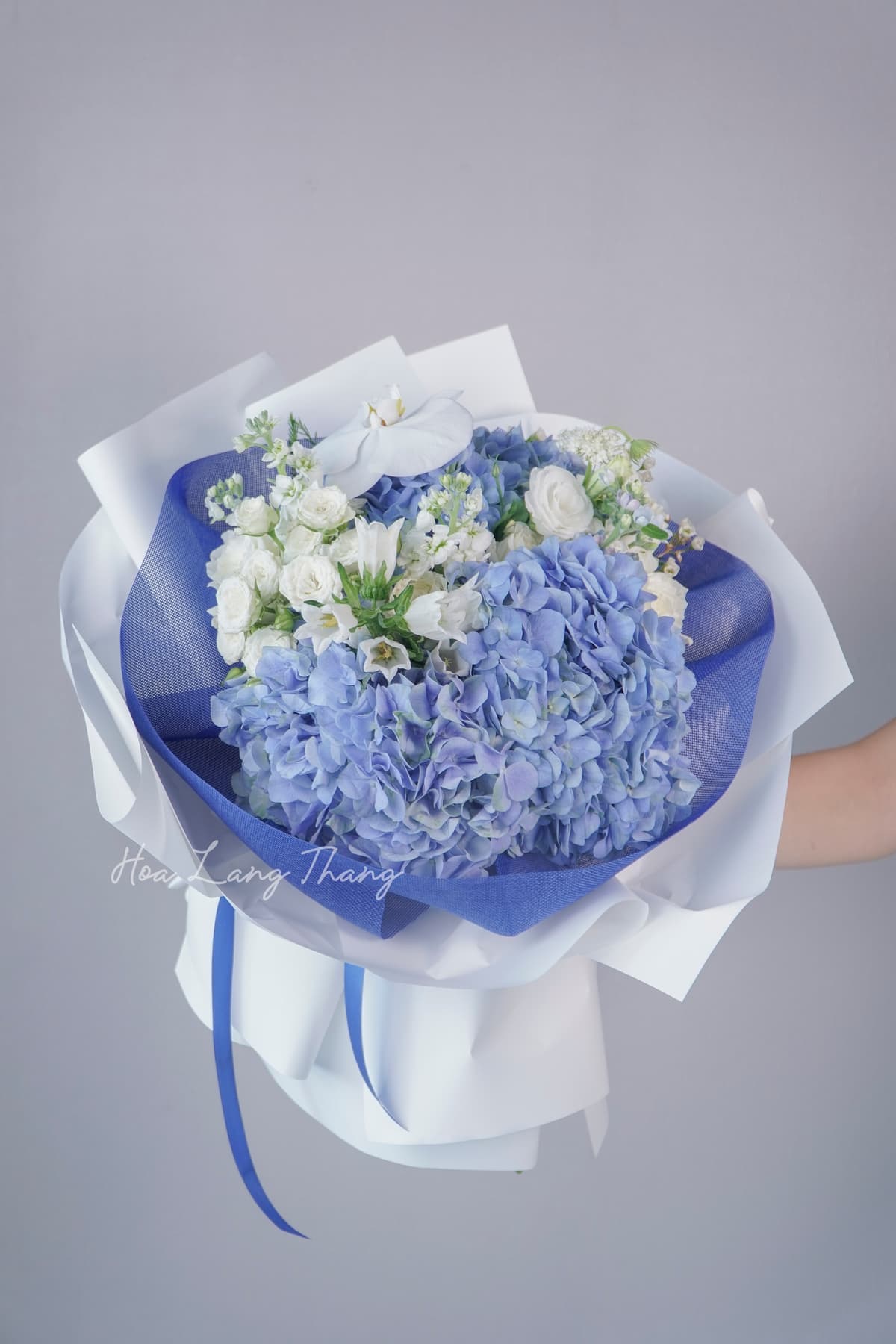 Giỏ tulip hồng Hồng - Ảnh 1