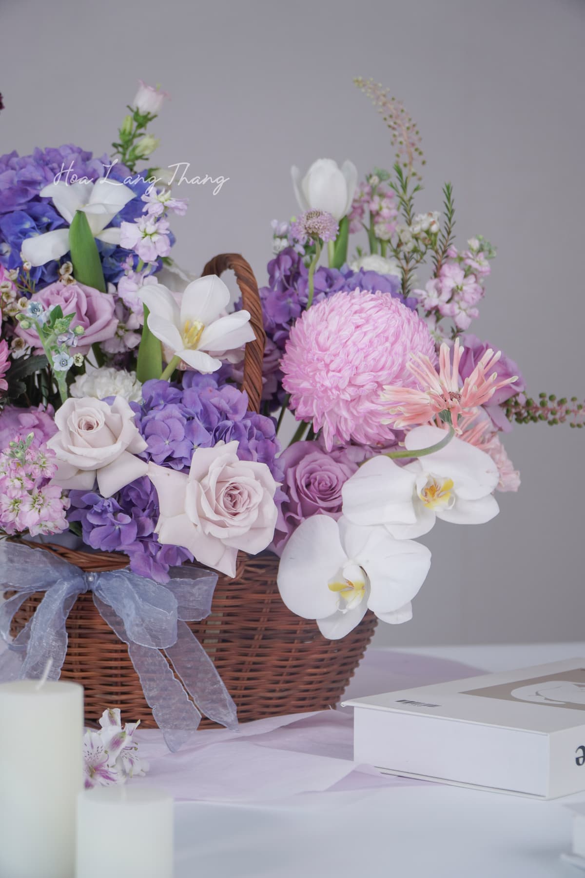 Harmonie Basket - Ảnh 1