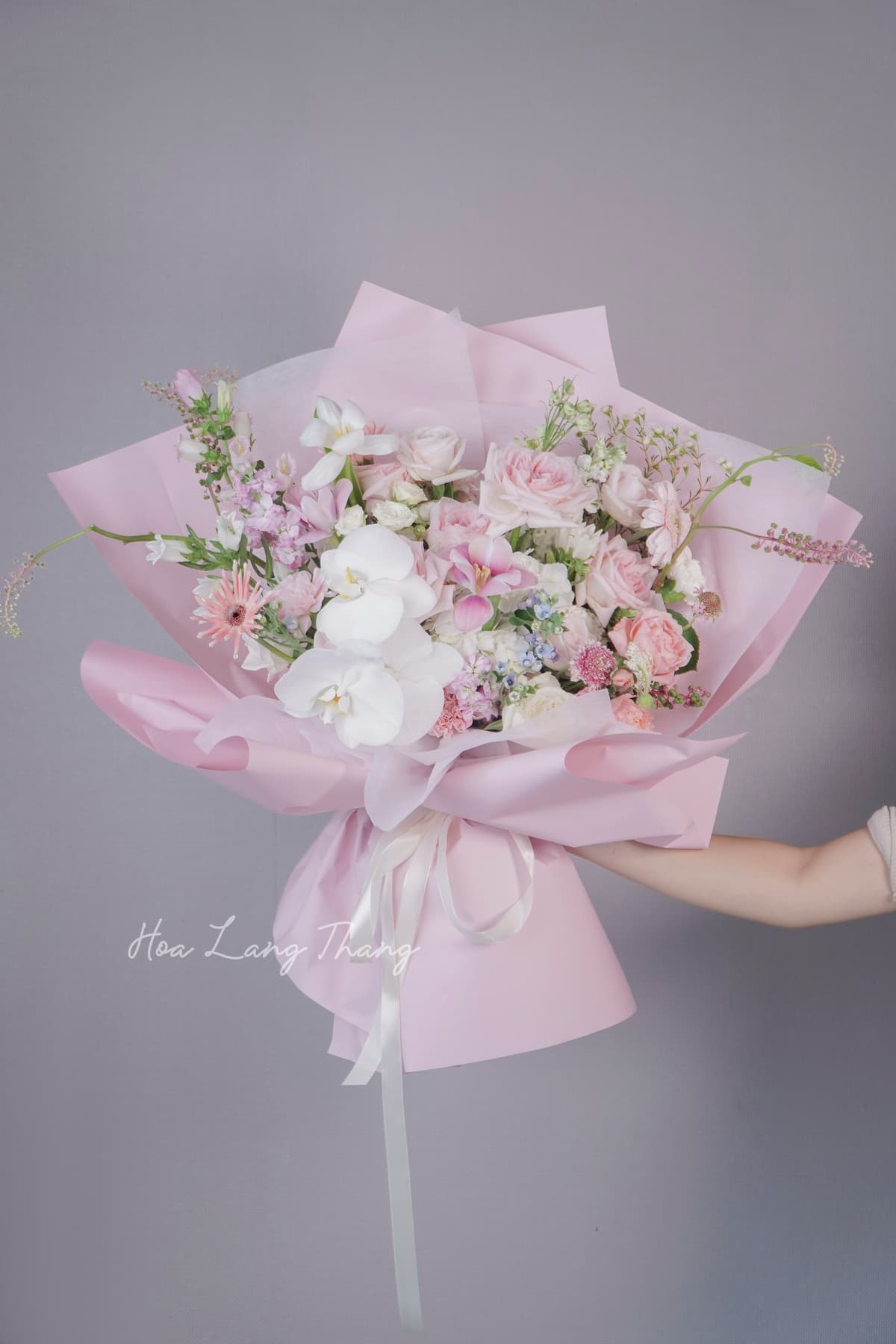 Lumière Bloom