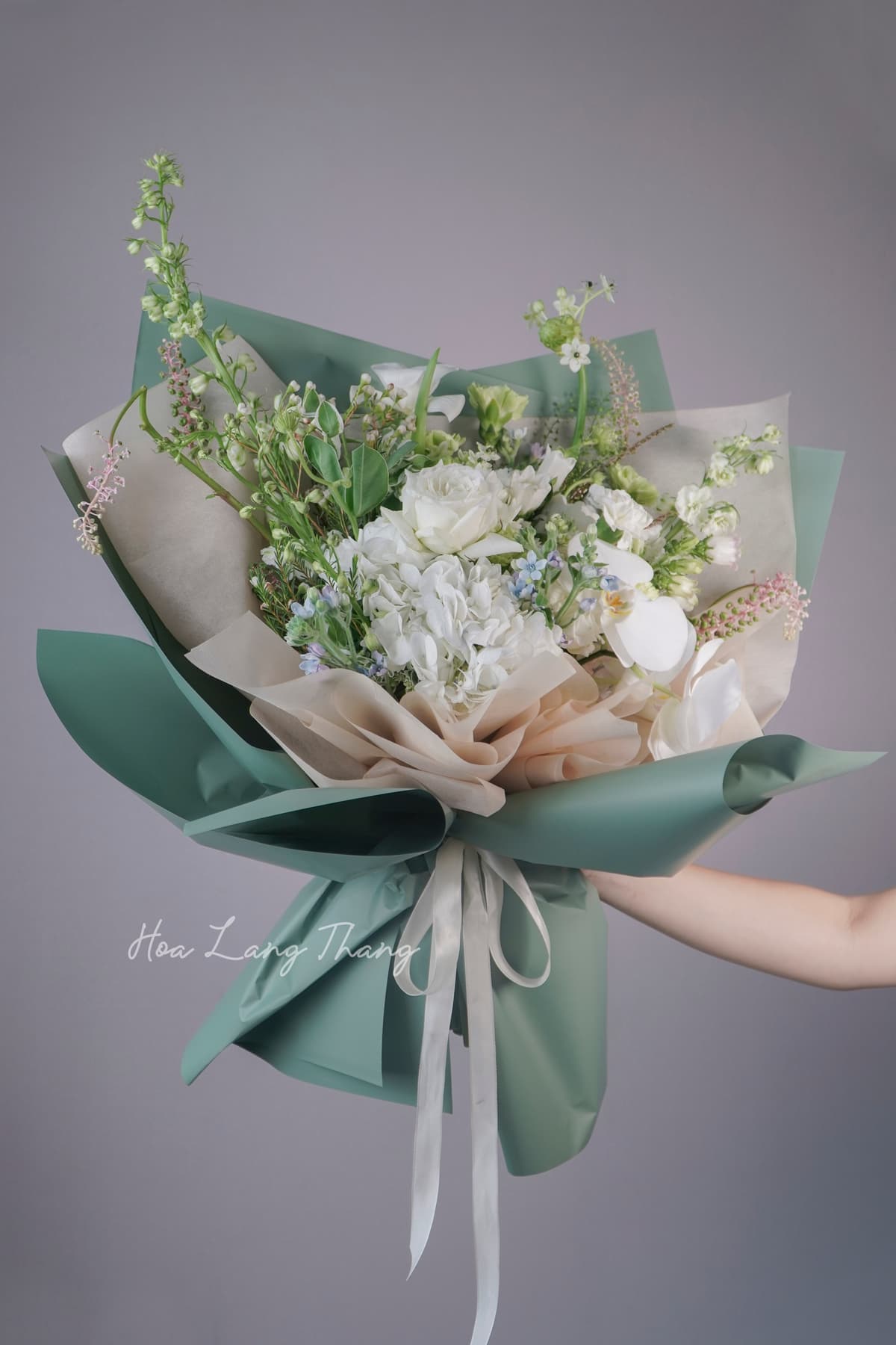 Lumière Rose