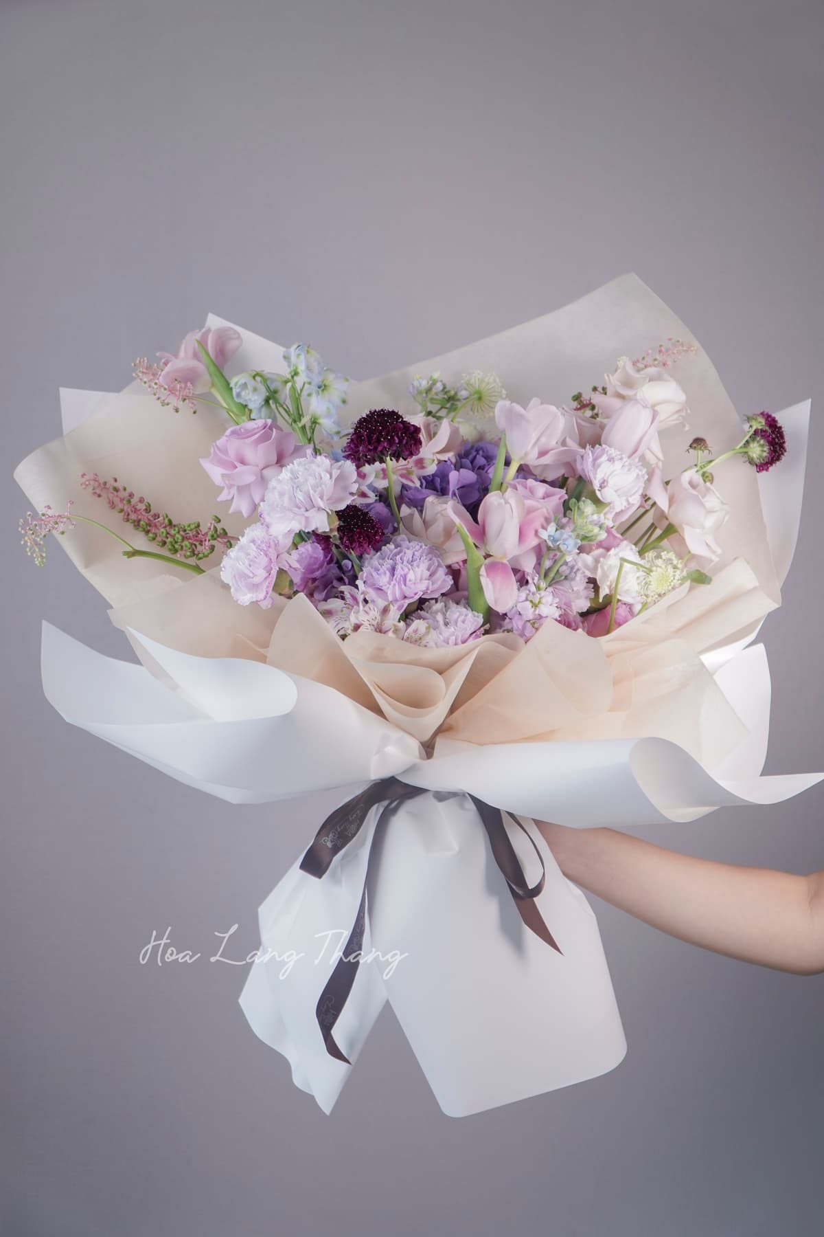 Lumière Tulip - Ảnh 1